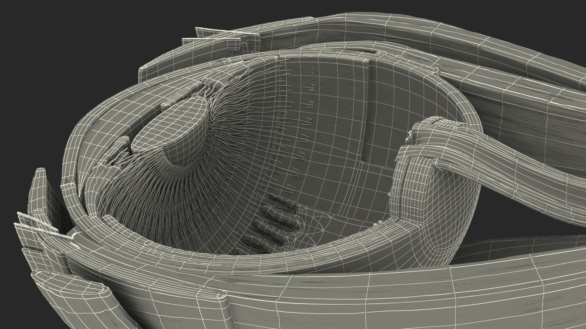 3D Cross-Section of the Human Eye Right Part