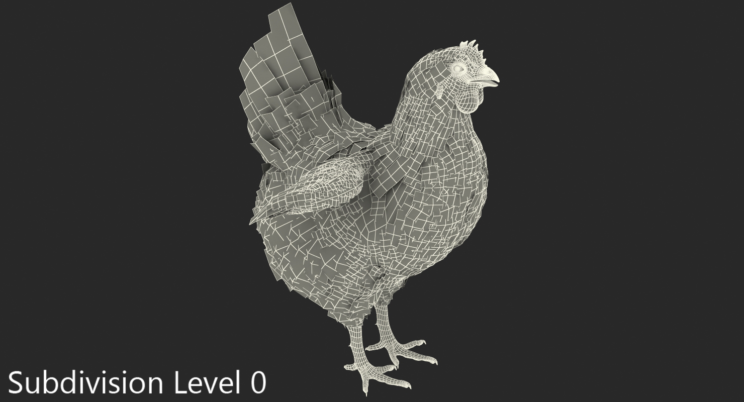 3D model White Chicken Rigged