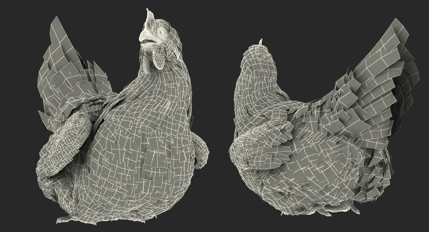 3D model White Chicken Rigged