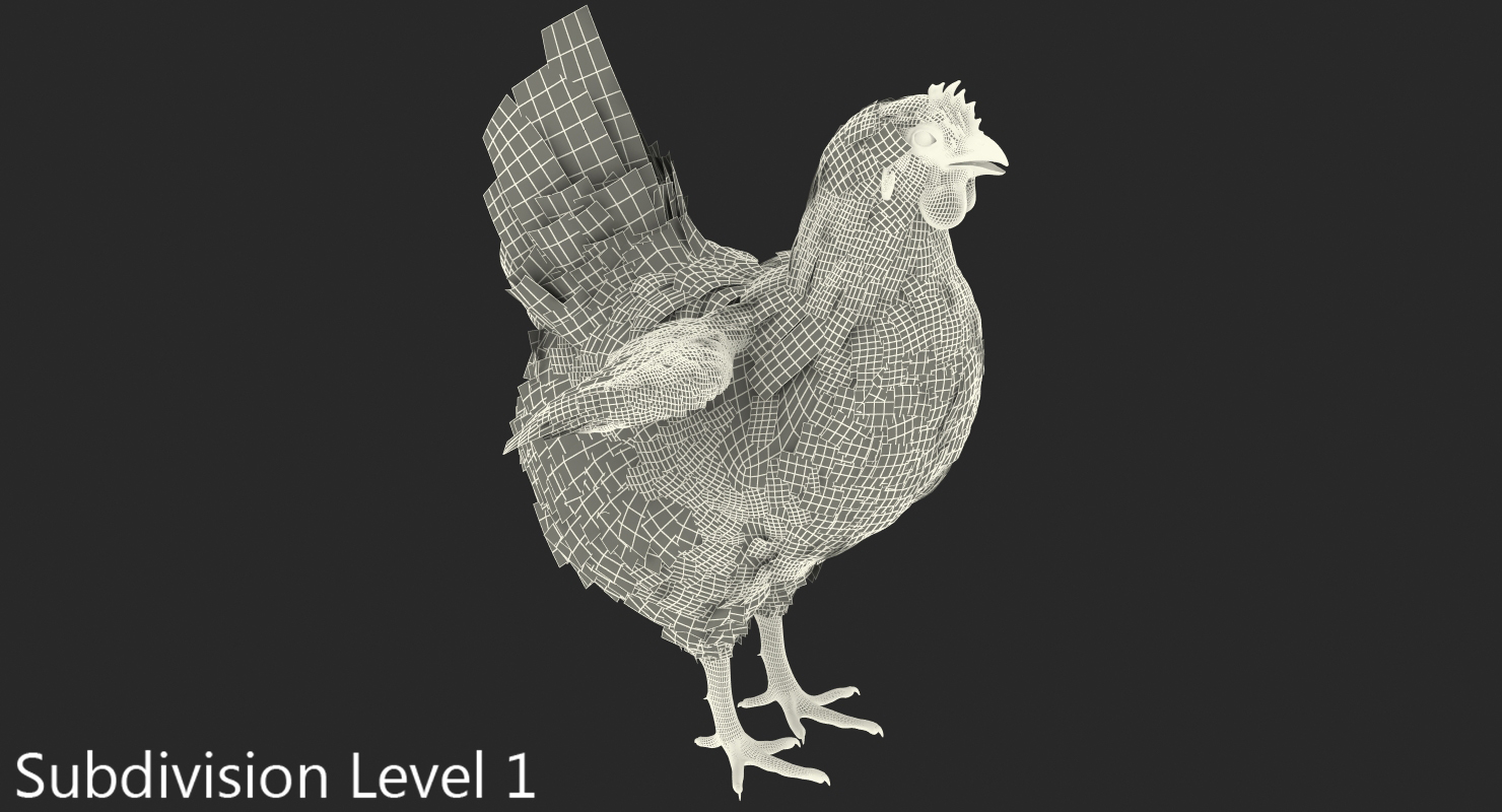 3D model White Chicken Rigged