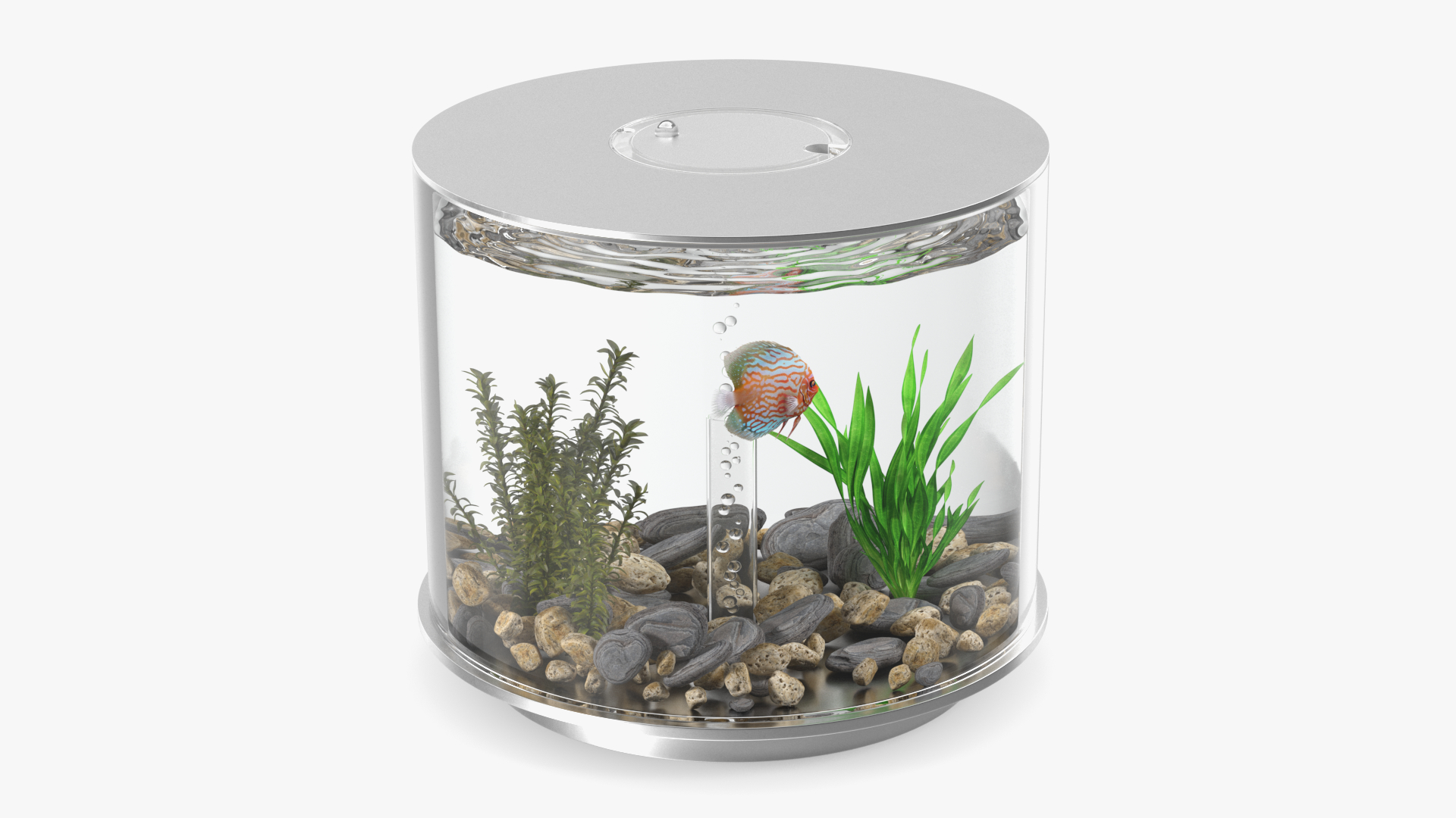 Chrome Cylinder Aquarium 3D model