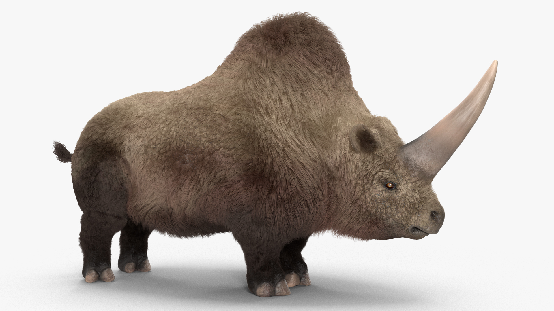 Elasmotherium Rigged Fur 3D model