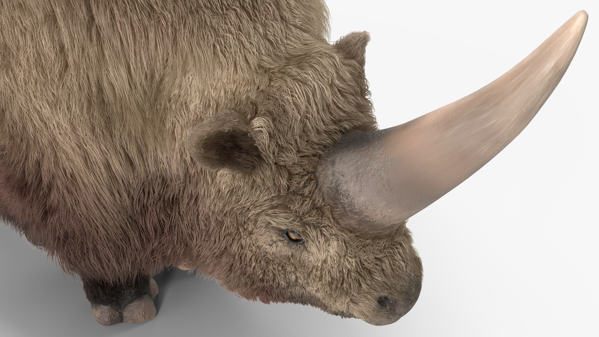 Elasmotherium Rigged Fur 3D model