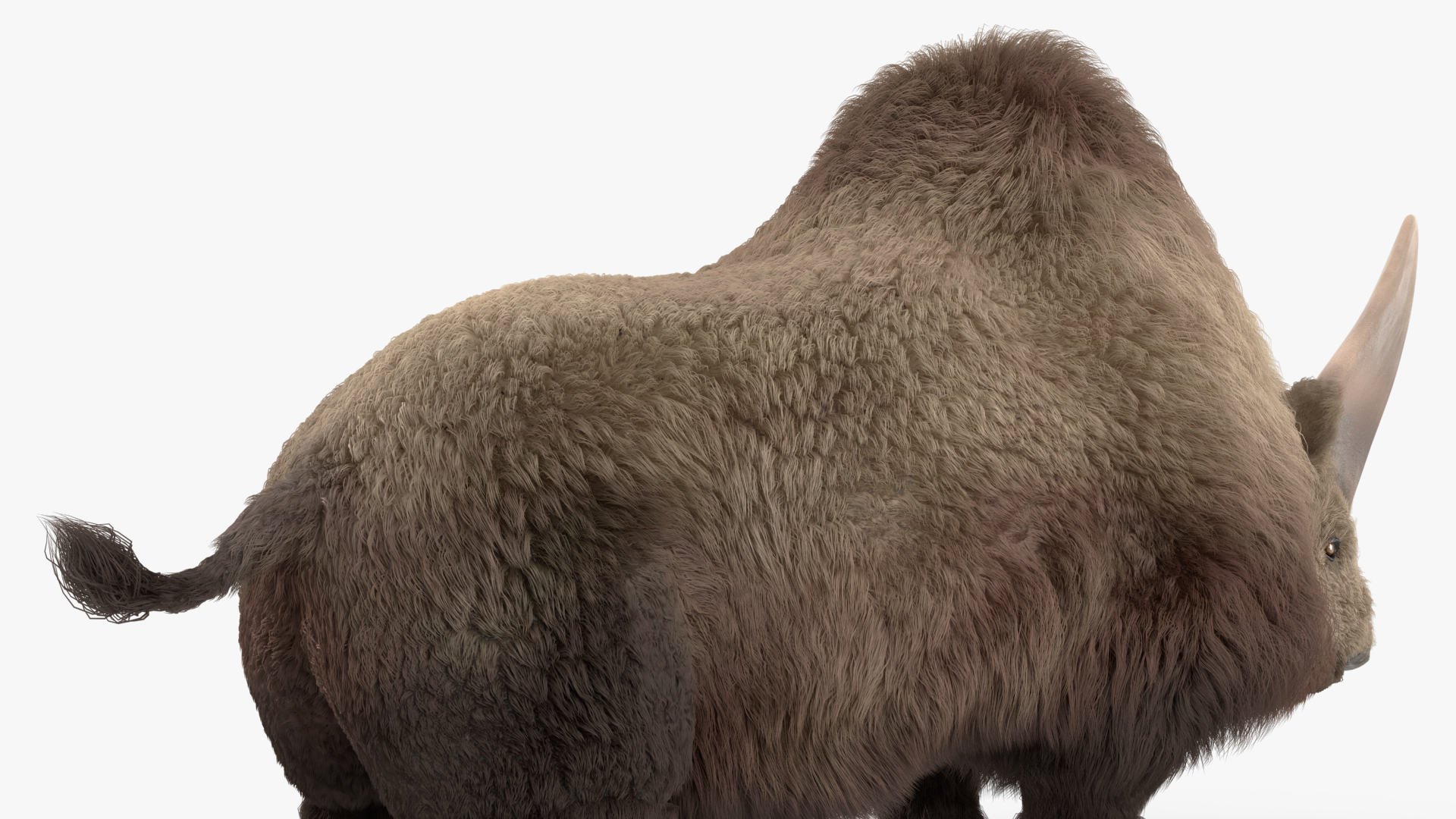 Elasmotherium Rigged Fur 3D model