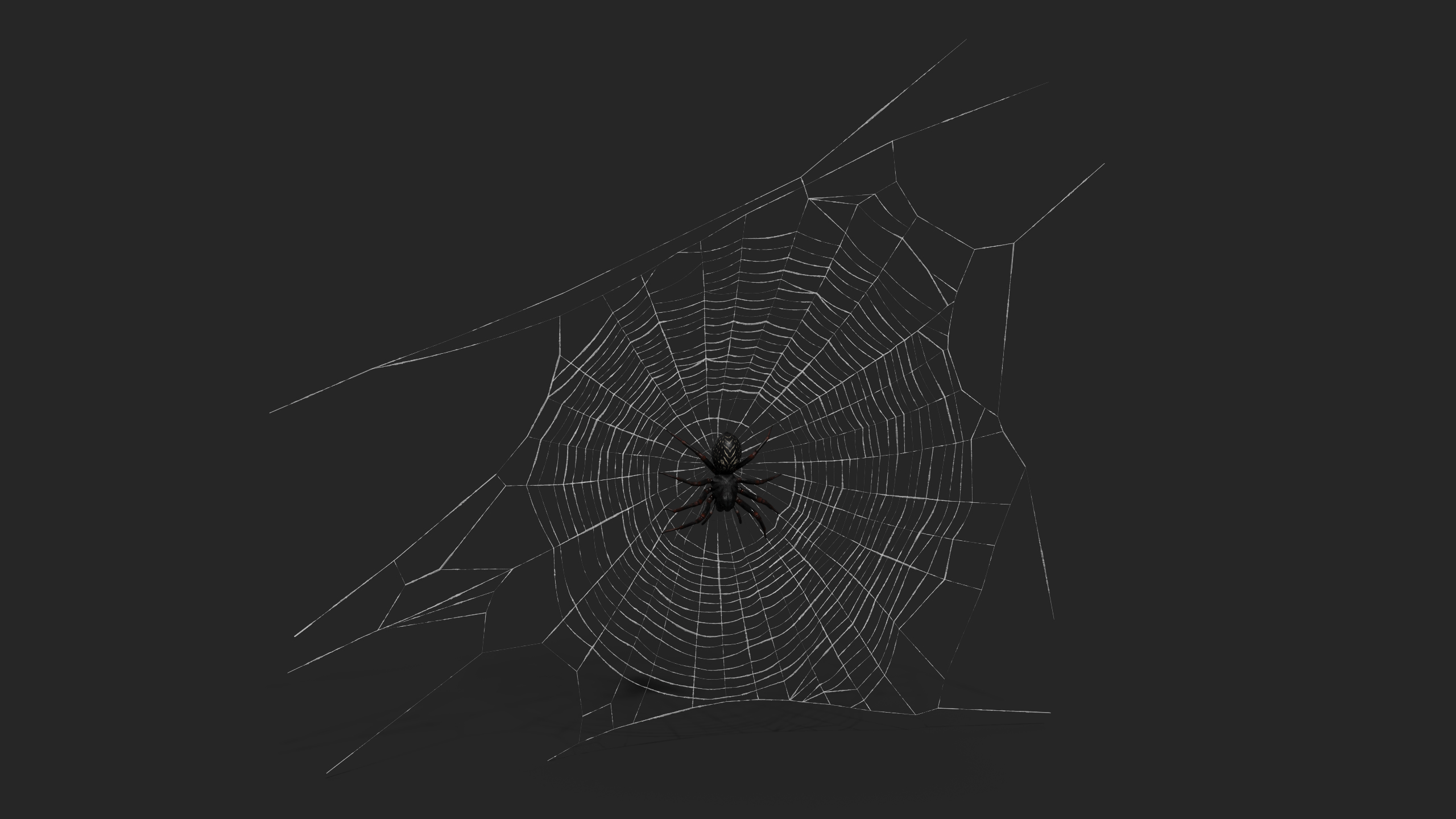 3D Round Web with Spider