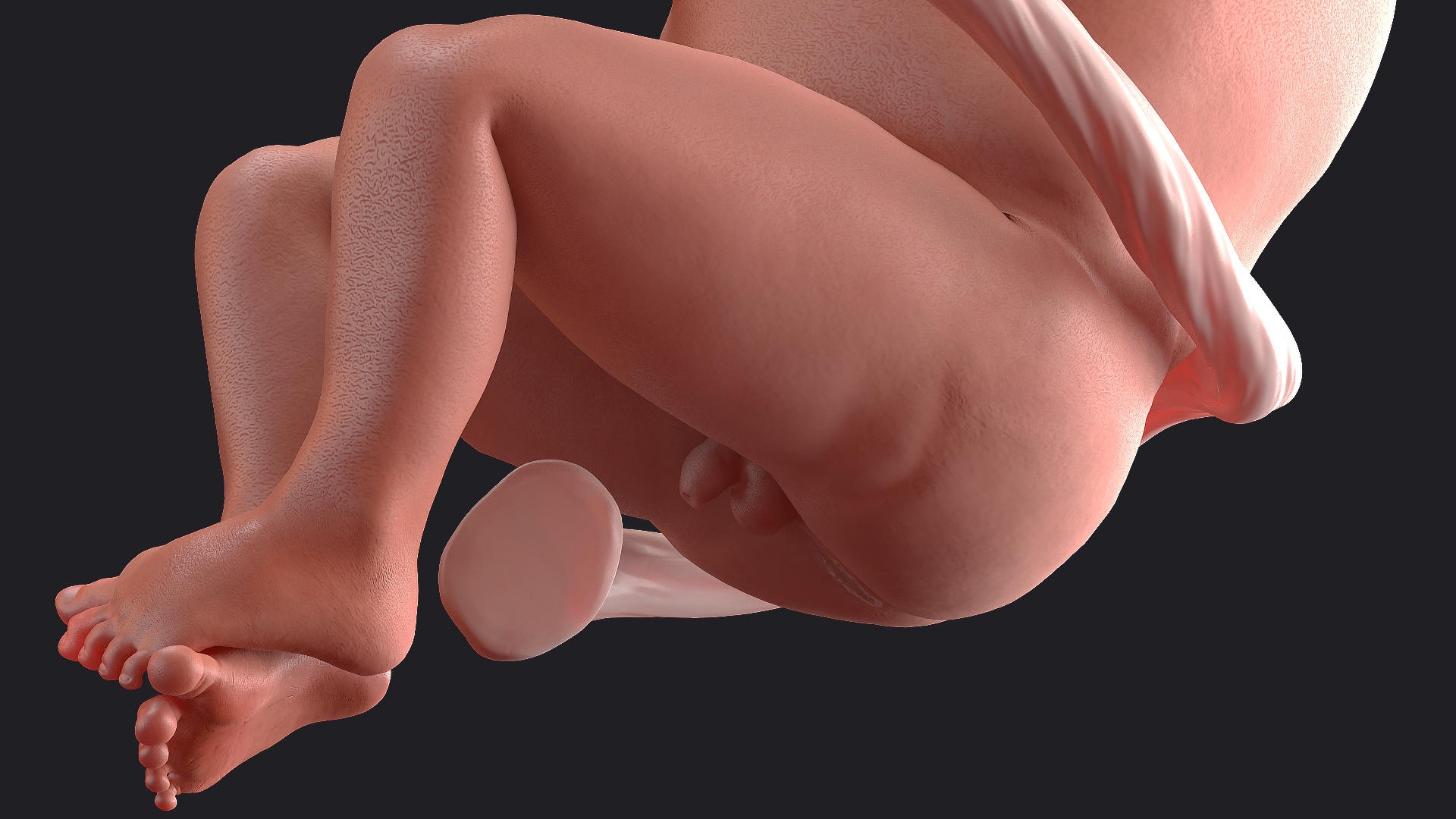 3D model Baby Boy at 28 Weeks