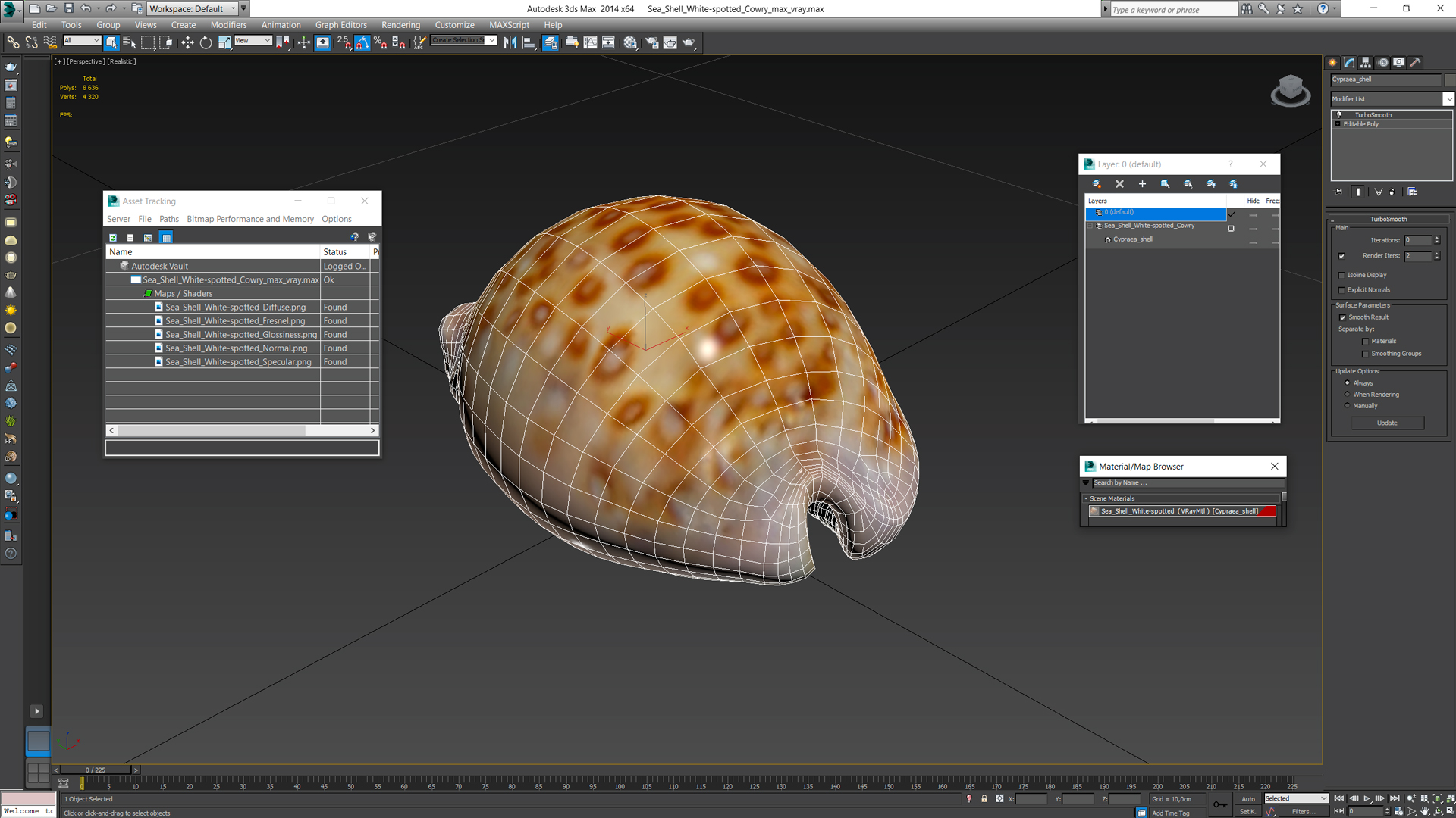 Sea Shell White-spotted Cowry 3D model