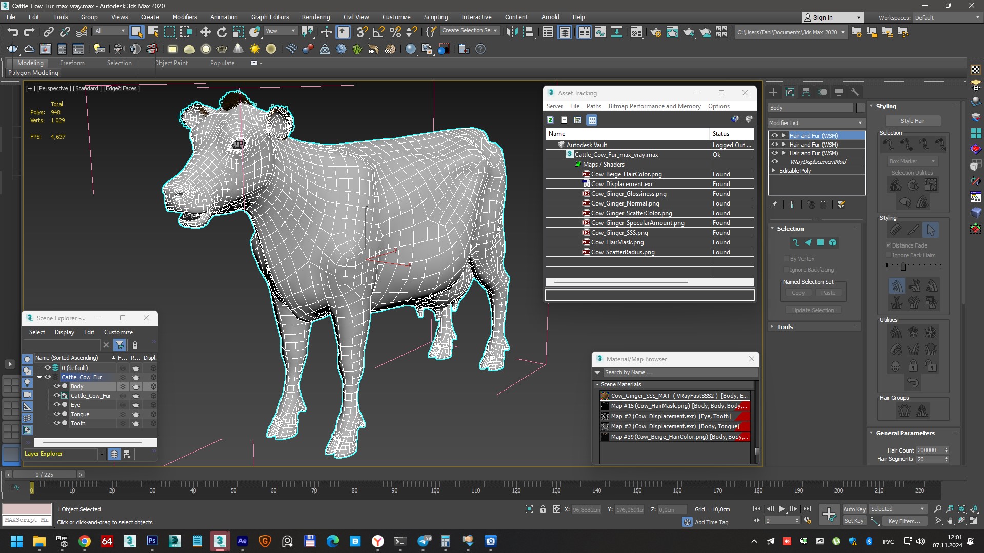 Cattle Cow Fur 3D model