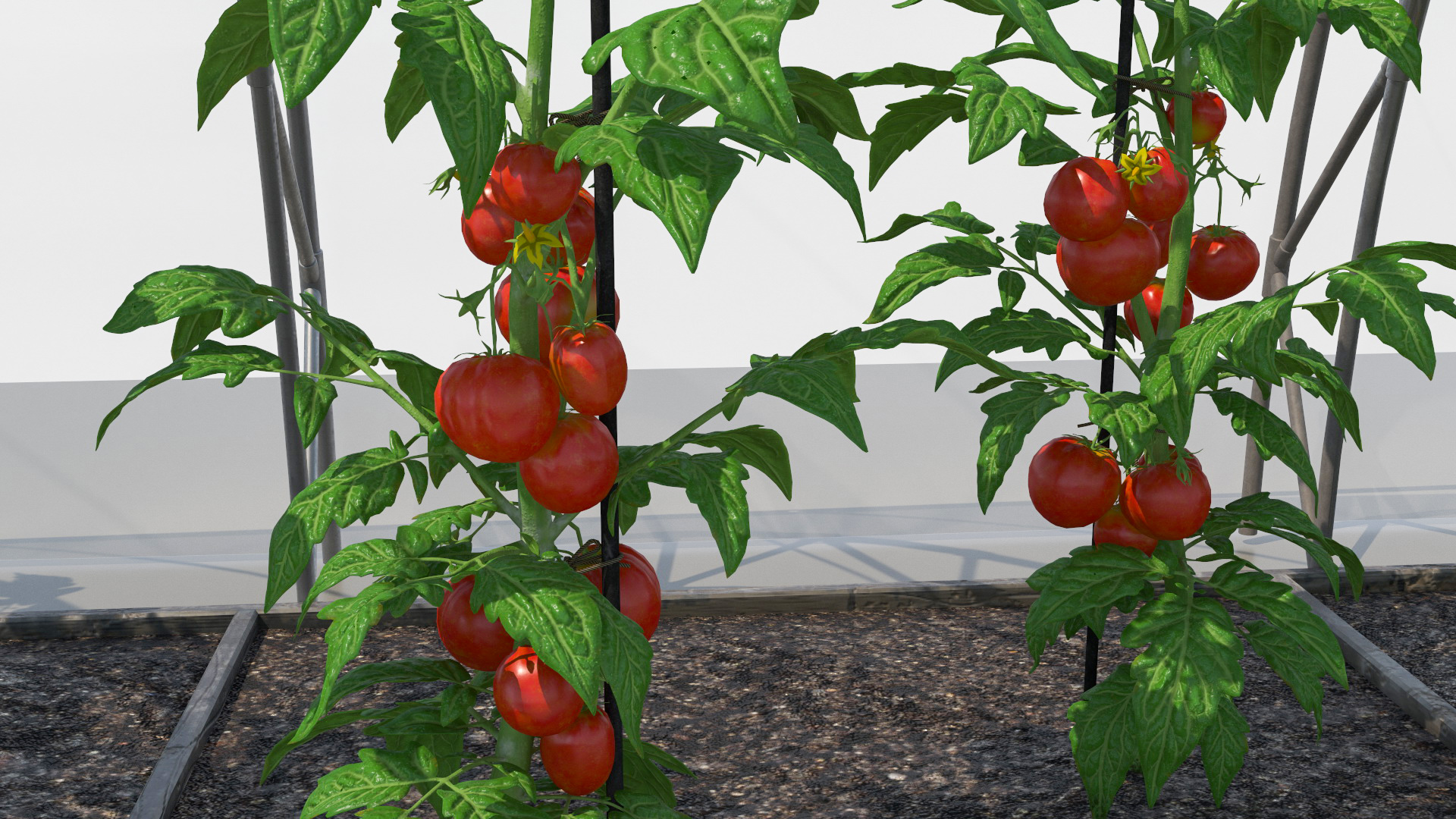 3D model Vegetables Greenhouse Tent with Gardener