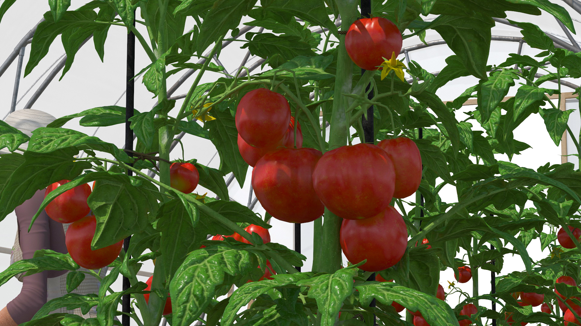 3D model Vegetables Greenhouse Tent with Gardener