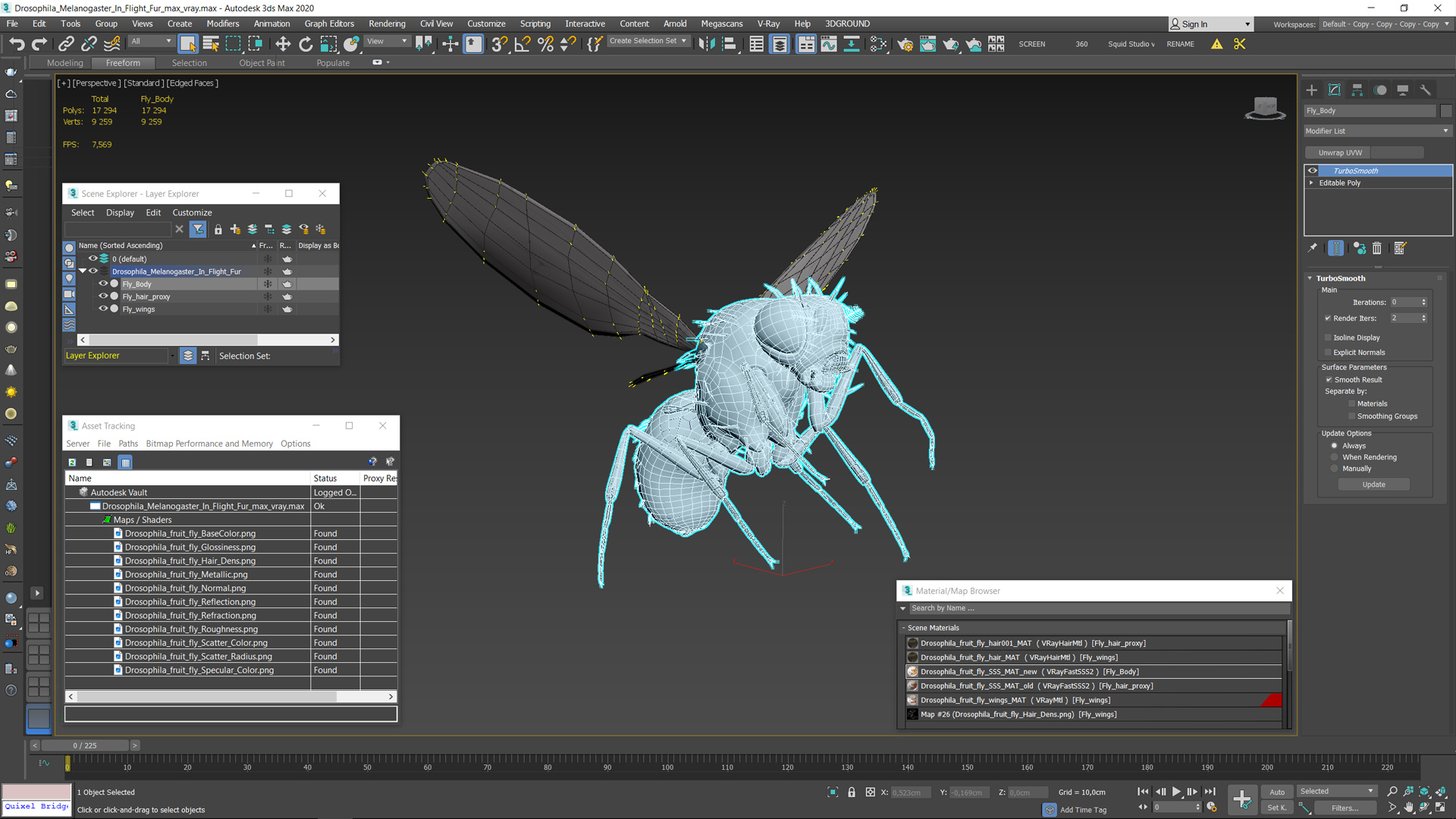 Drosophila Melanogaster In Flight Fur 3D