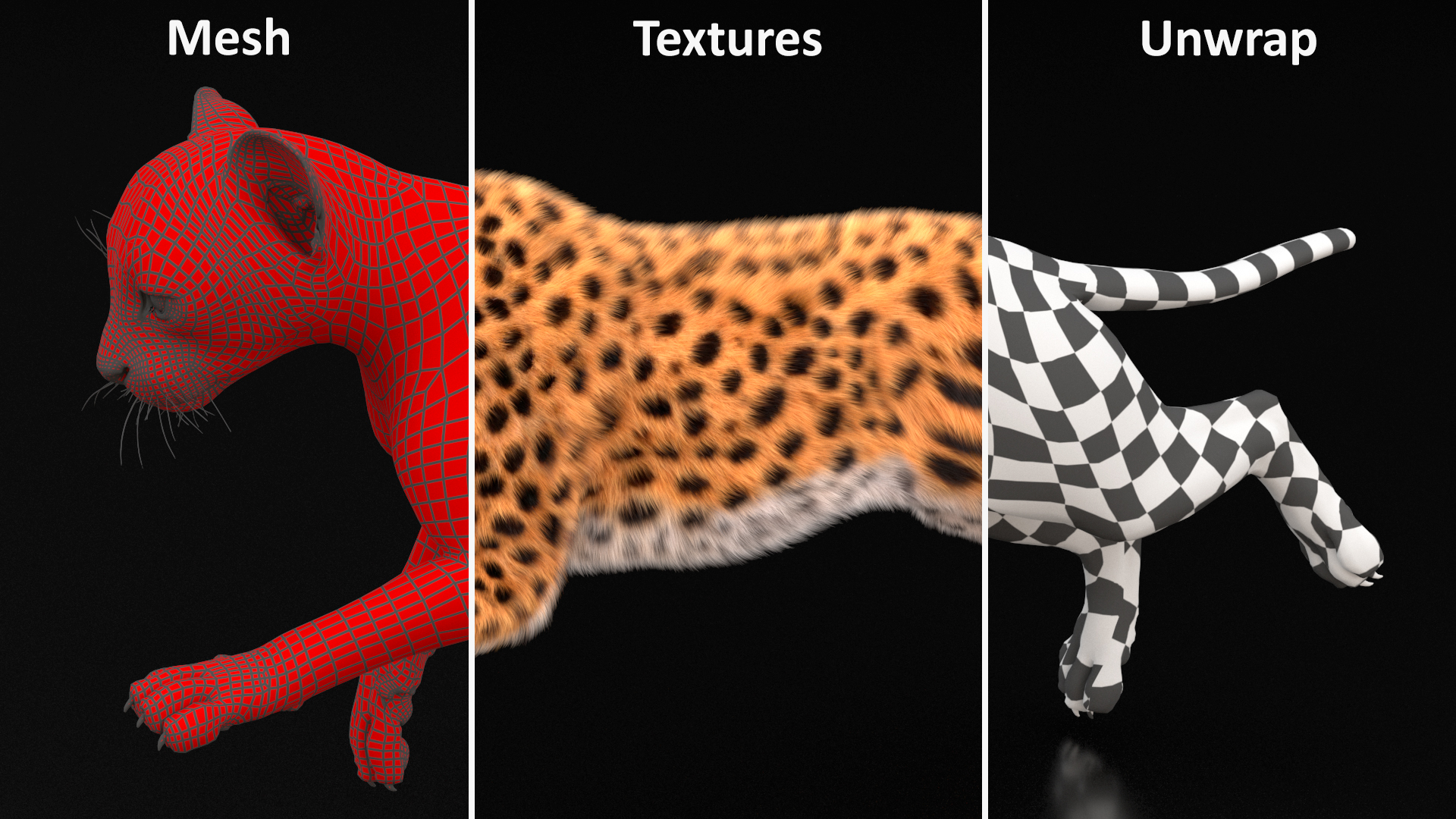 3D Cheetah Cub Running Pose Fur model