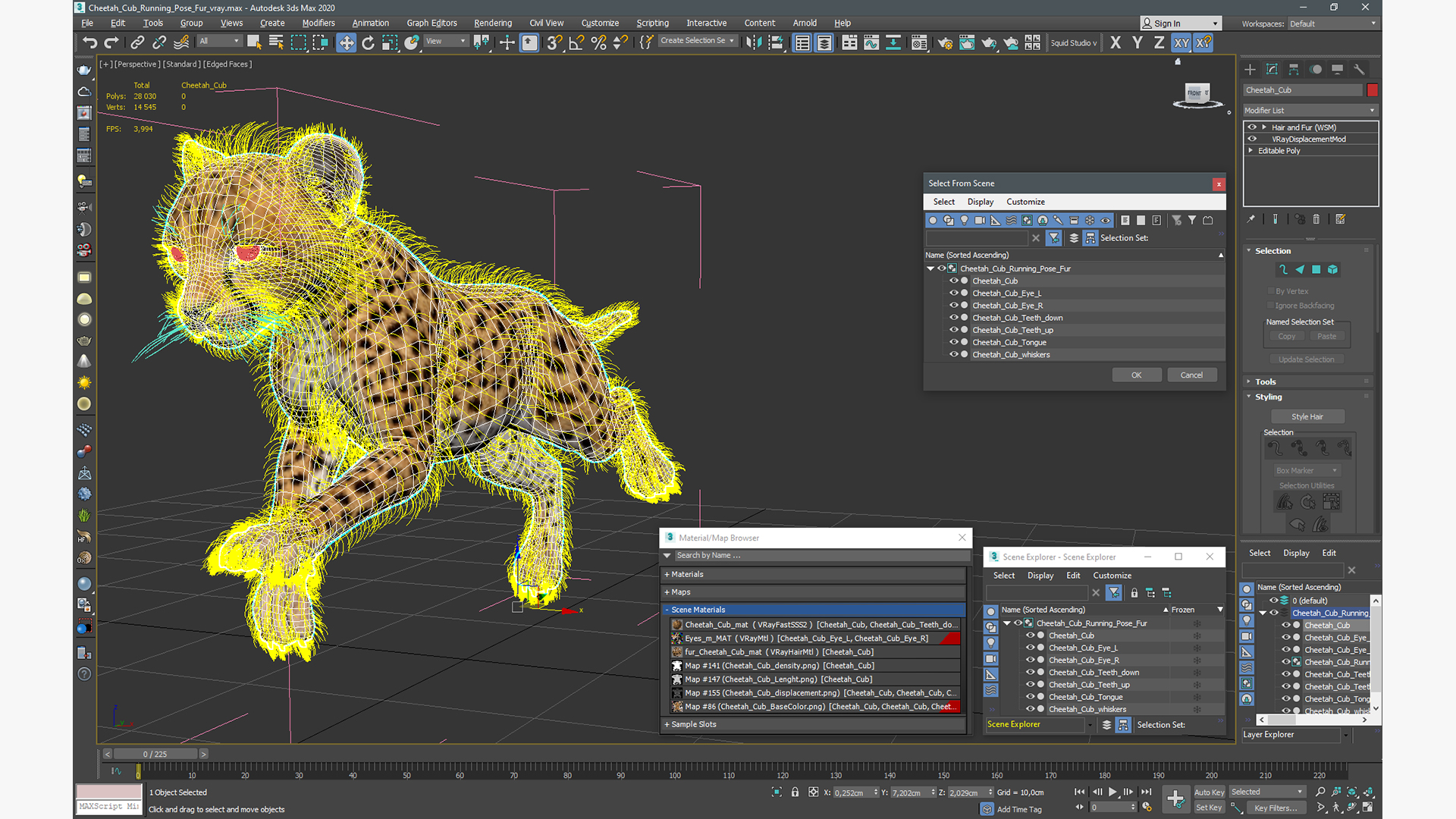 3D Cheetah Cub Running Pose Fur model