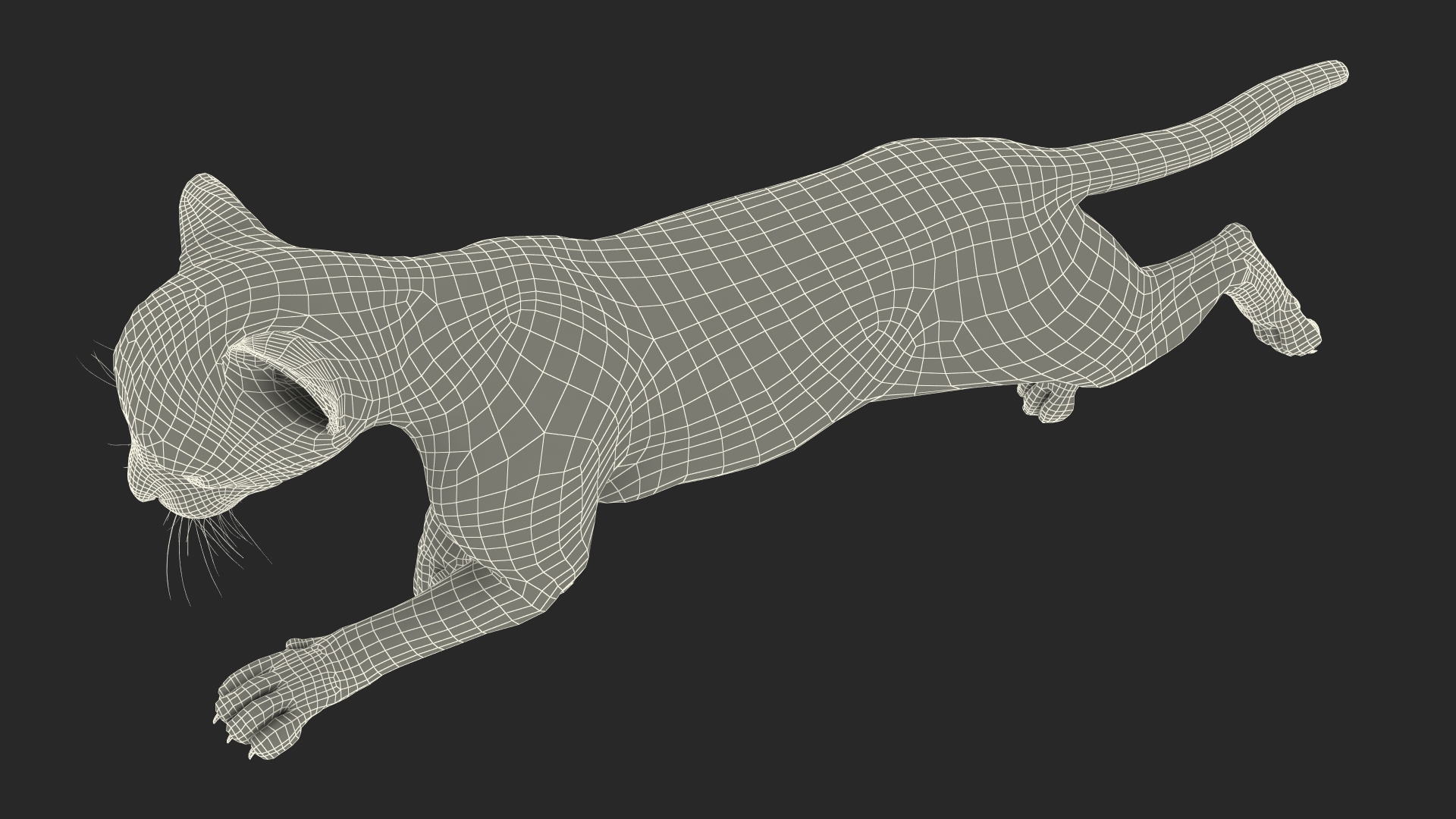 3D Cheetah Cub Running Pose Fur model