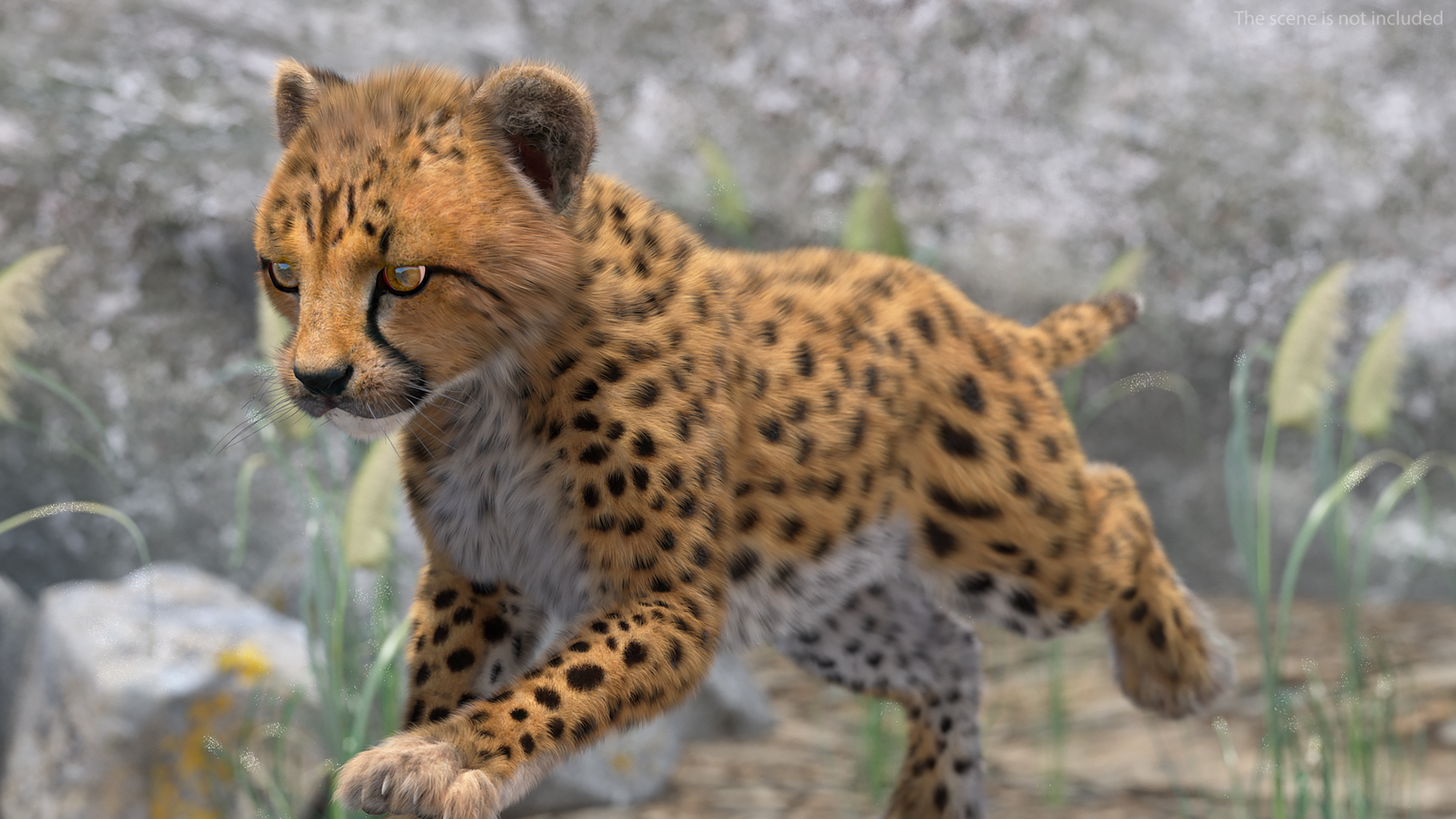 3D Cheetah Cub Running Pose Fur model