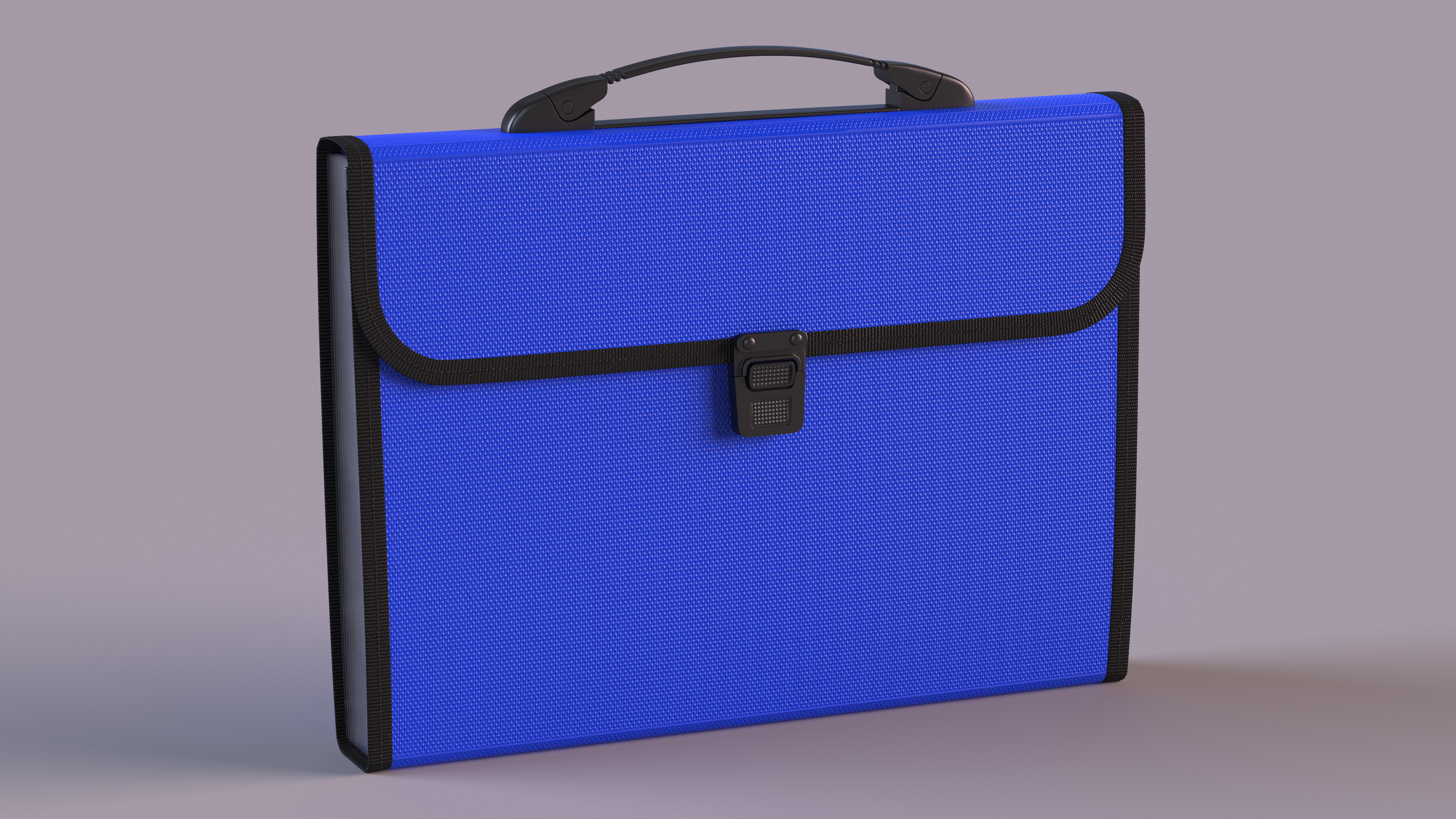 Plastic Expanding File Folder Blue 3D model