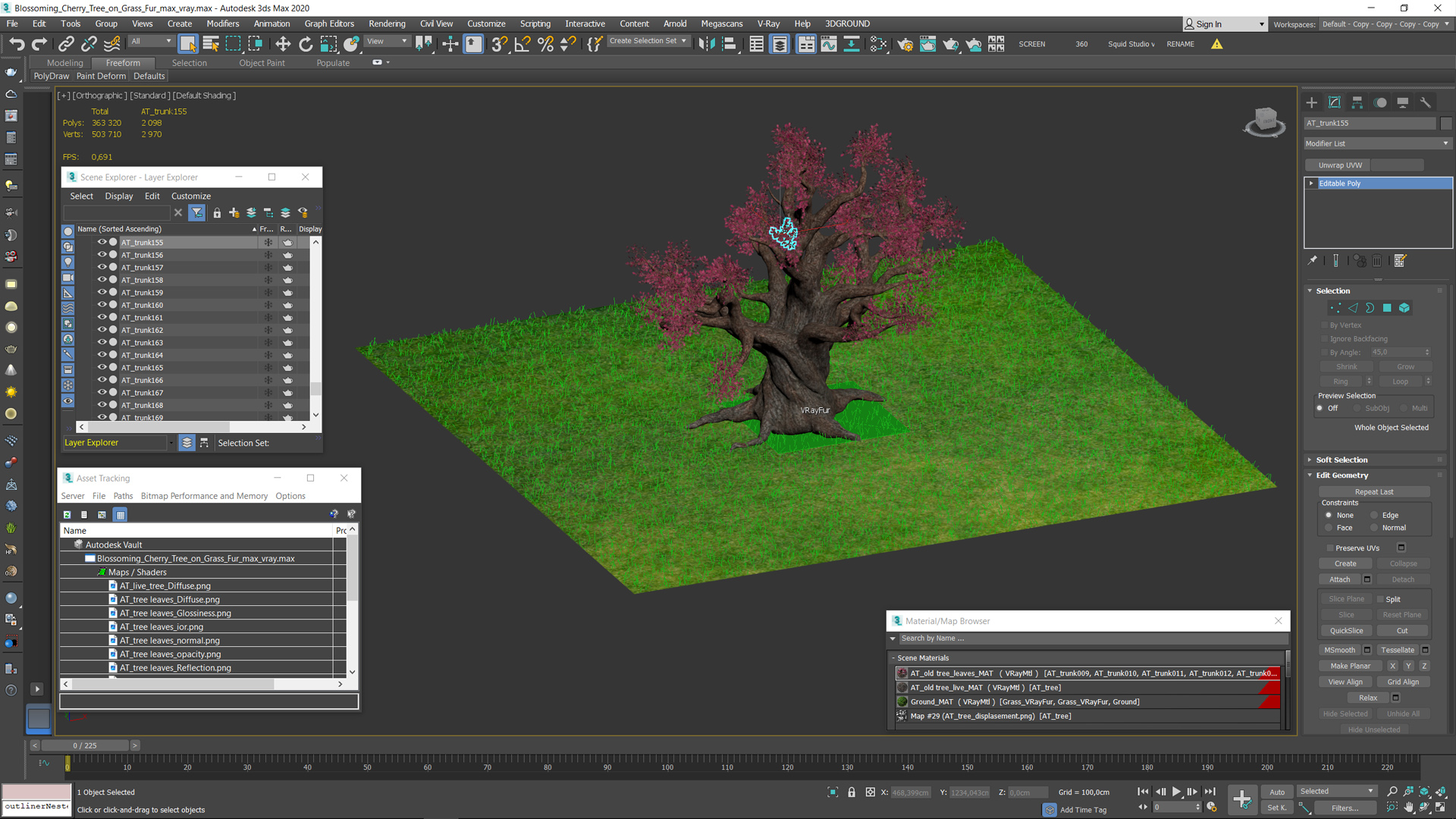 3D model Blossoming Cherry Tree on Grass Fur