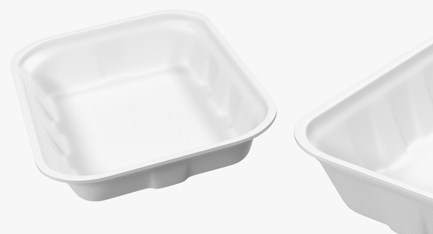 3D Empty Wrapped Food Tray model