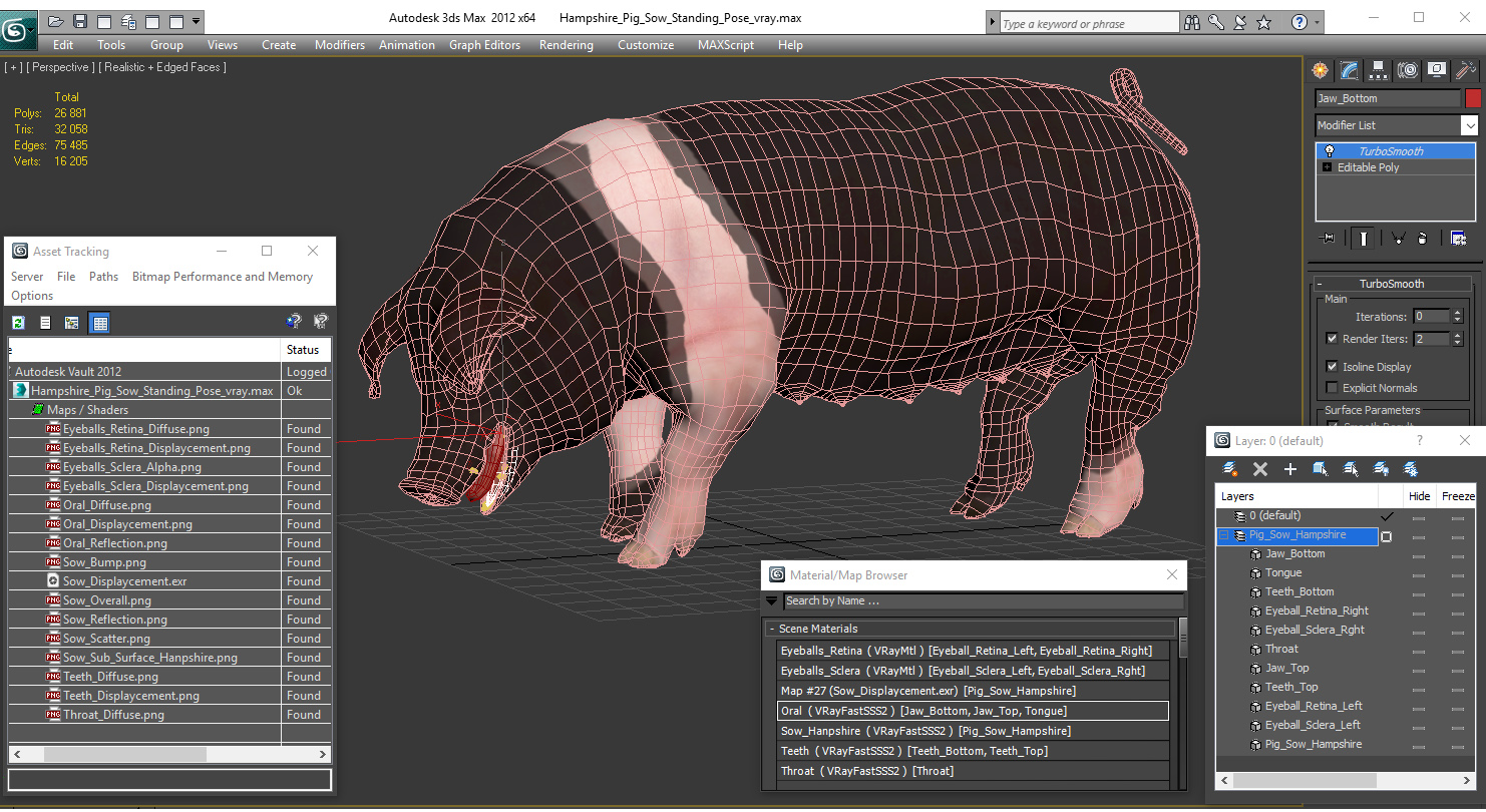 3D Hampshire Pig Sow Standing Pose