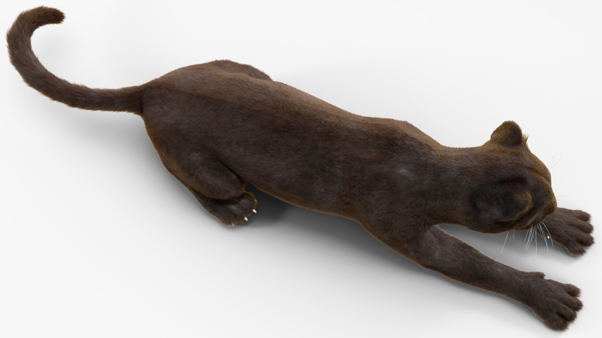 3D Black Panther Lying Down Fur model