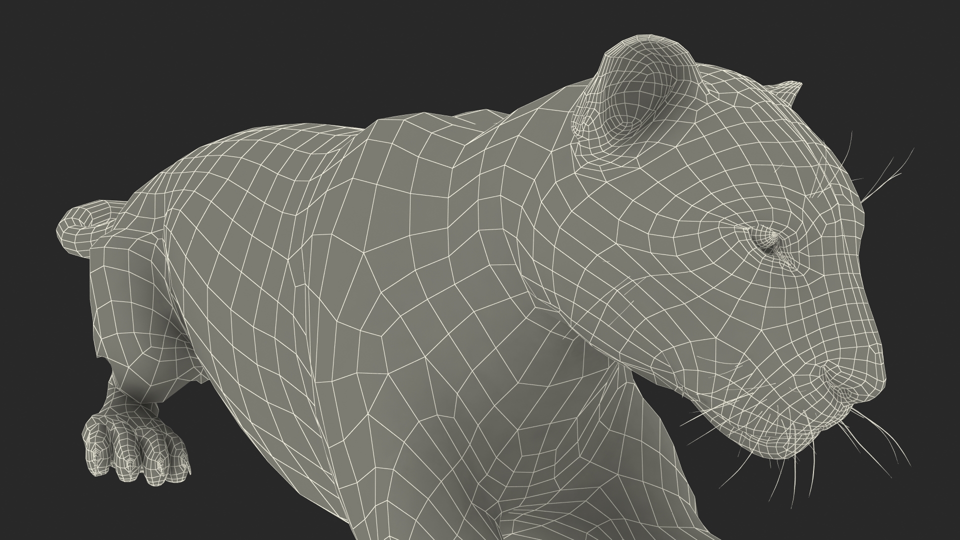 3D Black Panther Lying Down Fur model