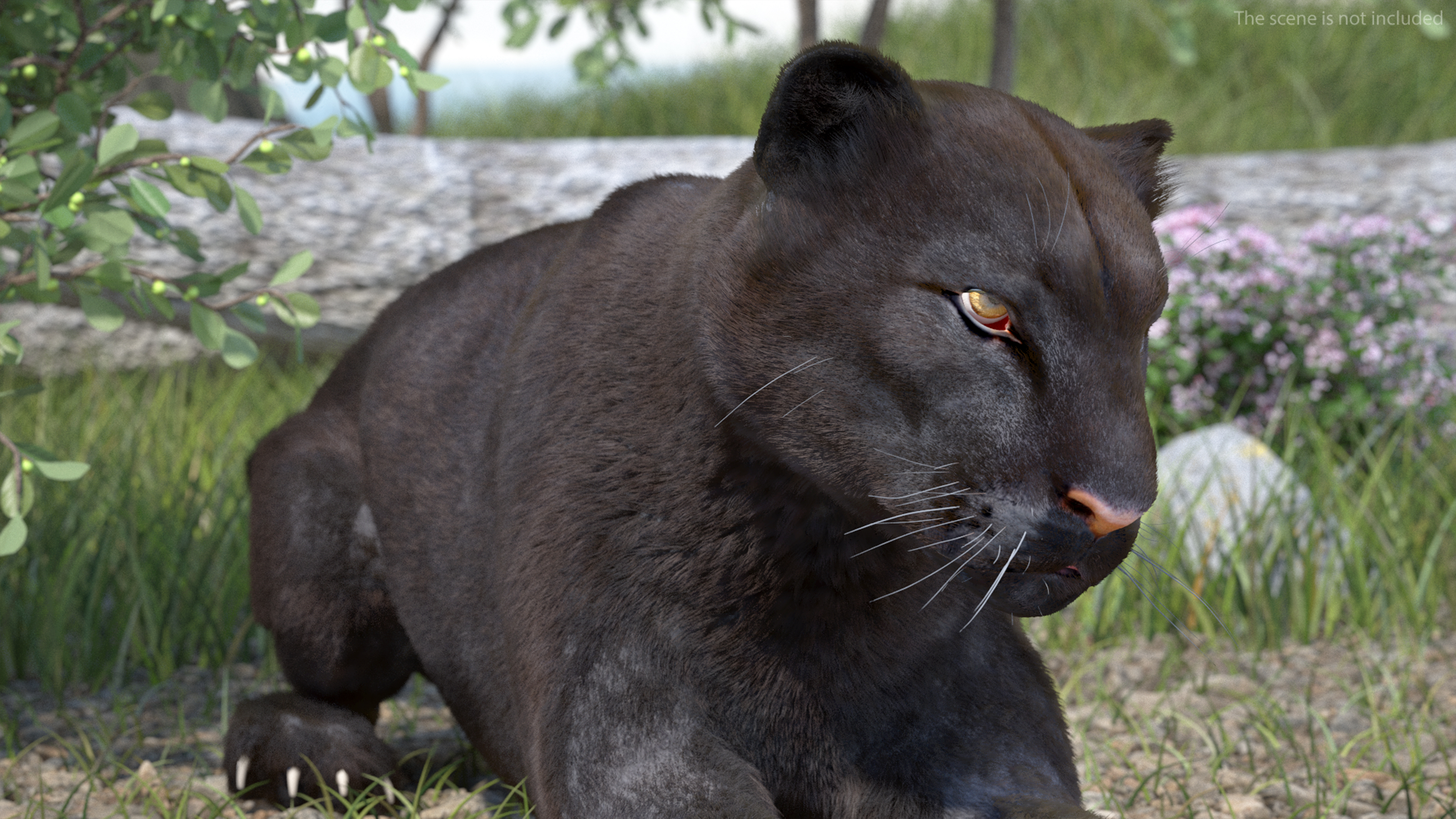 3D Black Panther Lying Down Fur model