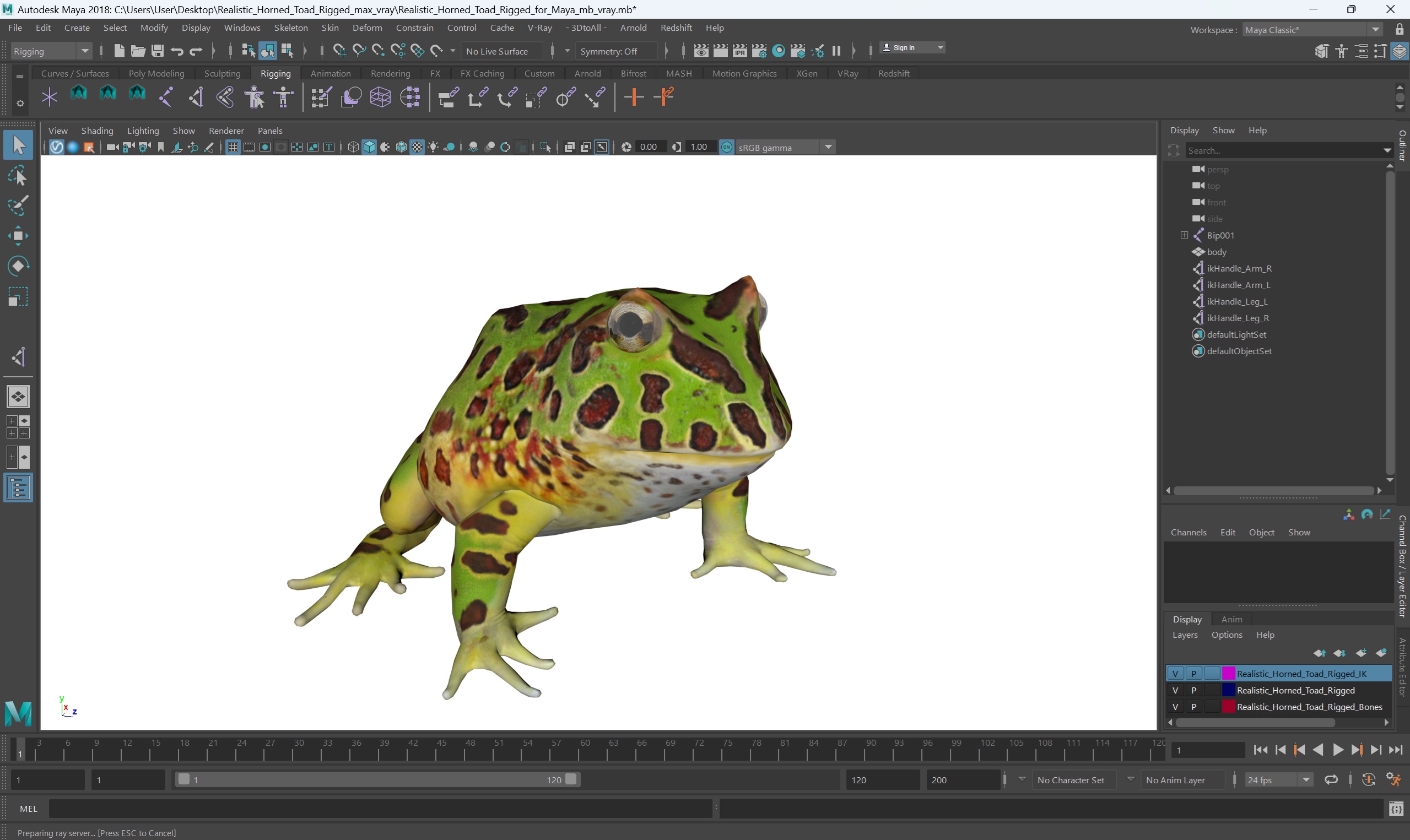 Realistic Horned Toad Rigged for Maya 3D