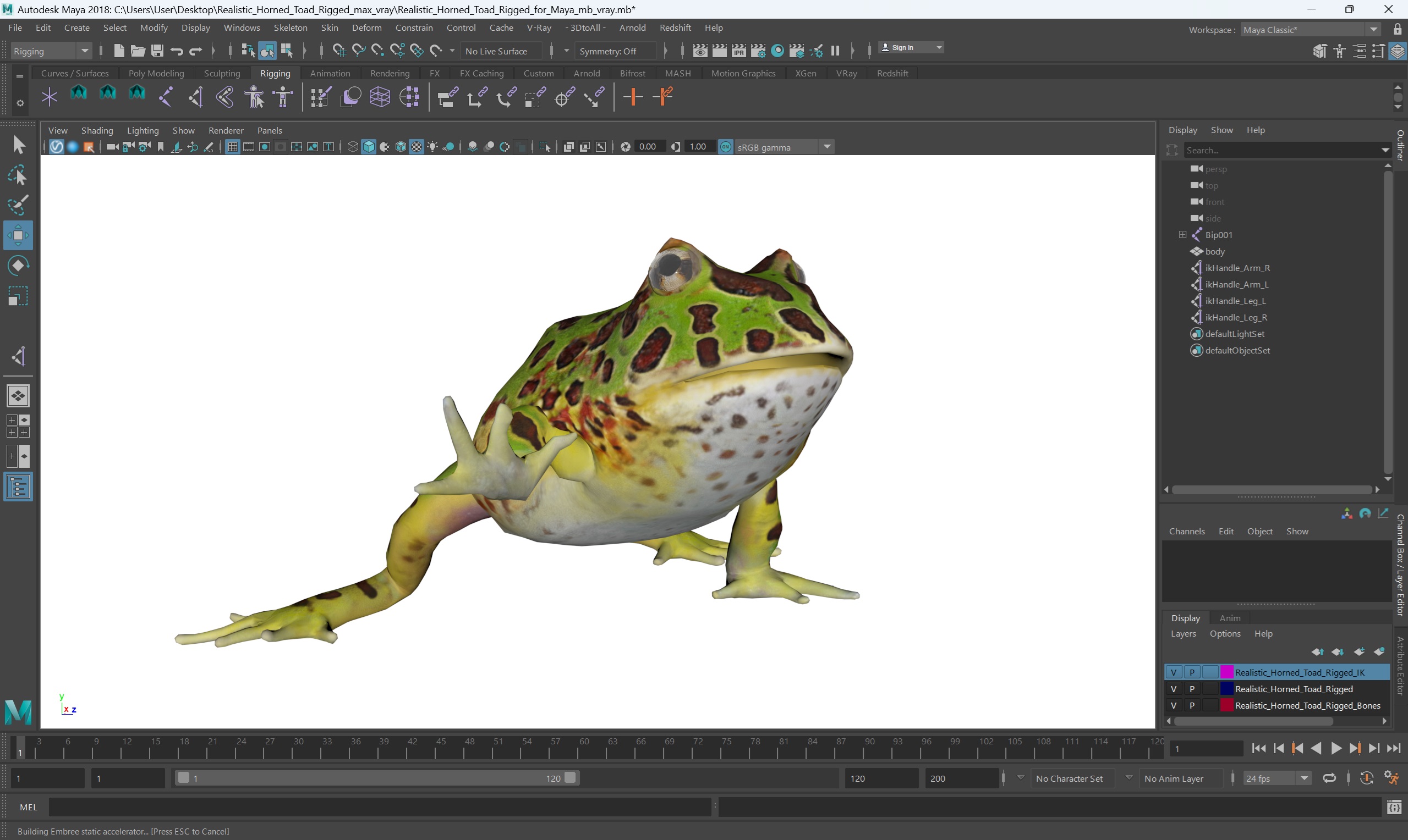 Realistic Horned Toad Rigged for Maya 3D