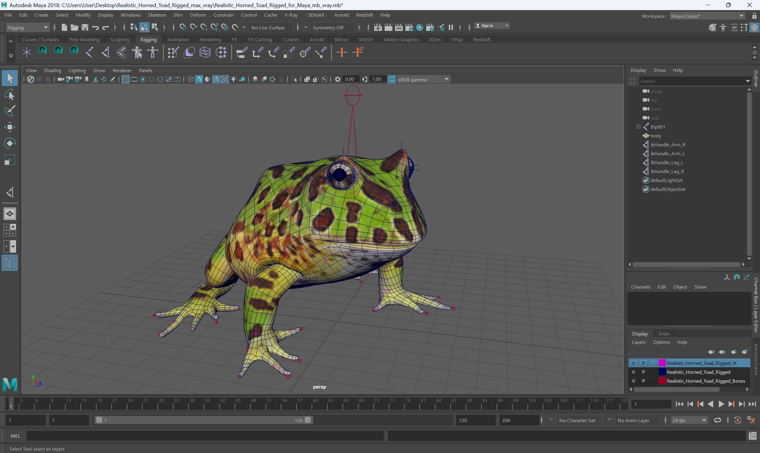 Realistic Horned Toad Rigged for Maya 3D