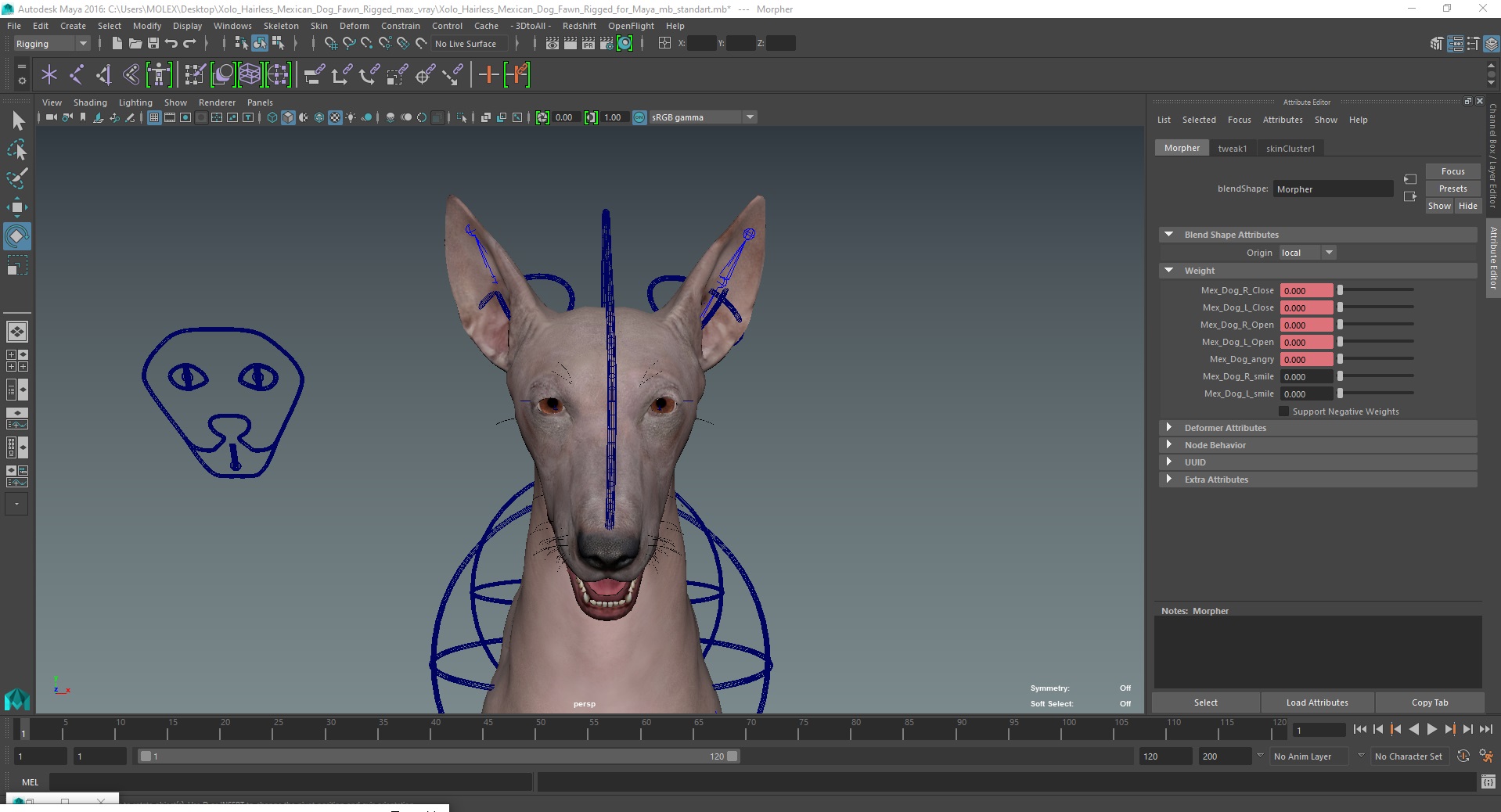 3D Xolo Hairless Mexican Dog Fawn Rigged for Maya