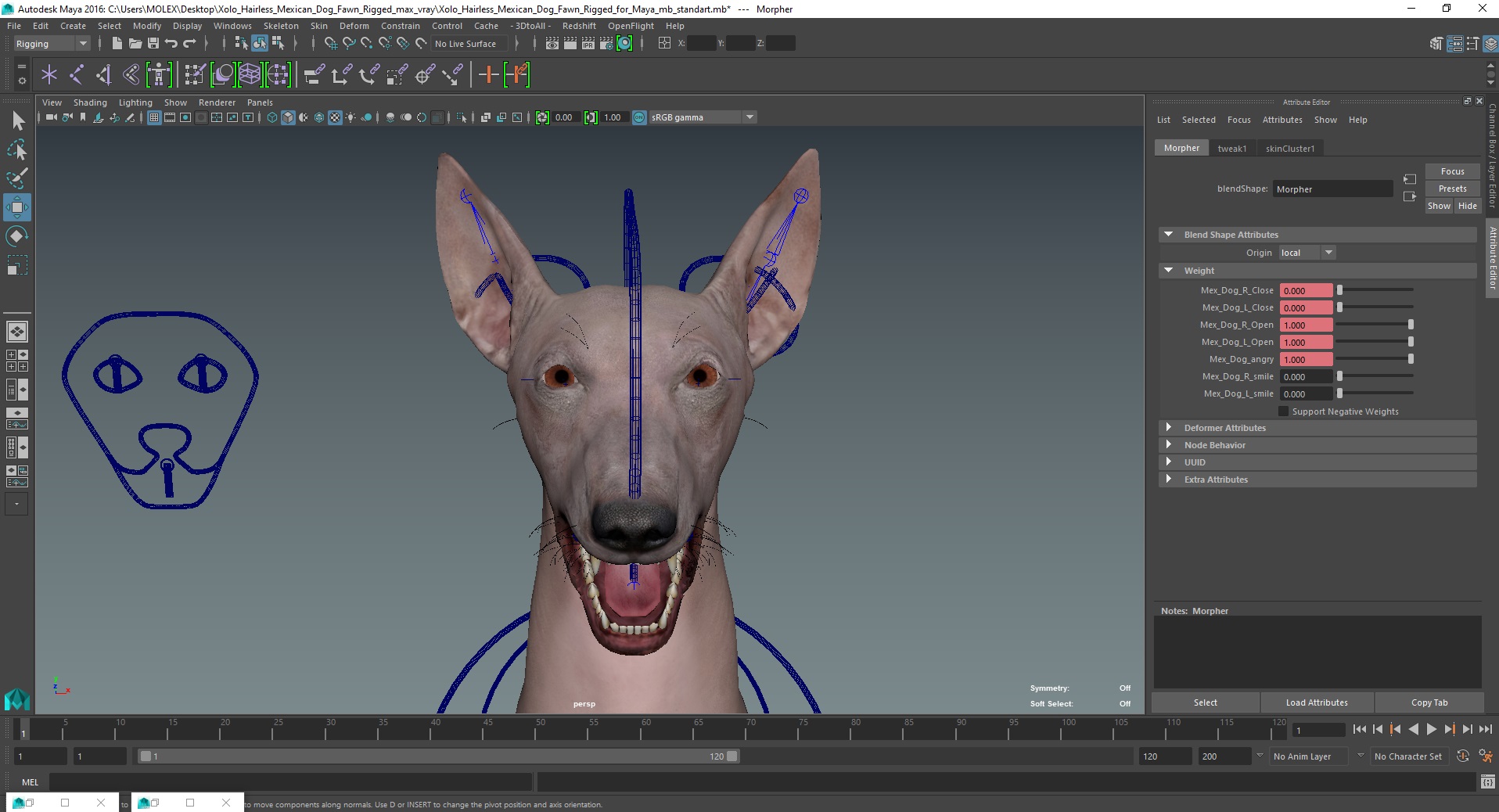 3D Xolo Hairless Mexican Dog Fawn Rigged for Maya