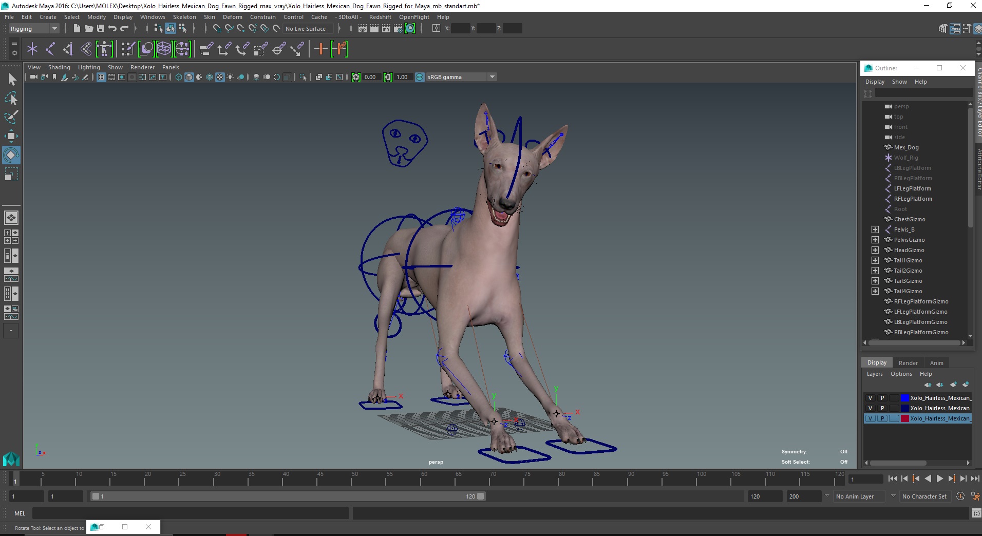 3D Xolo Hairless Mexican Dog Fawn Rigged for Maya