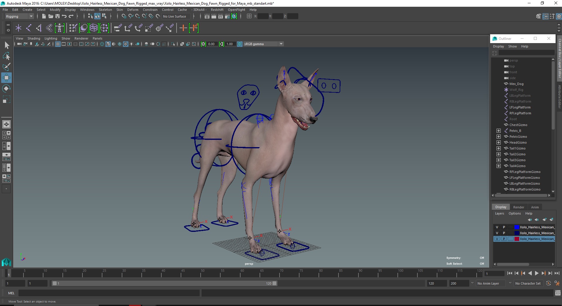 3D Xolo Hairless Mexican Dog Fawn Rigged for Maya