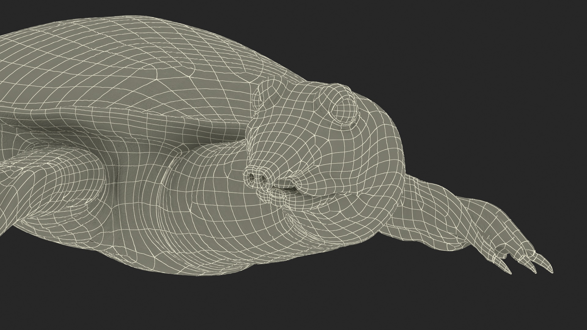 3D Realistic Chinese Softshell Turtle Rigged