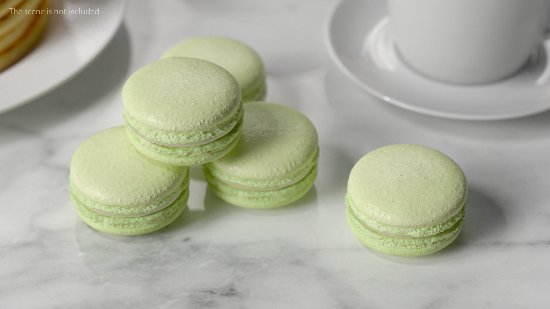 Pistachio Macaron 3D