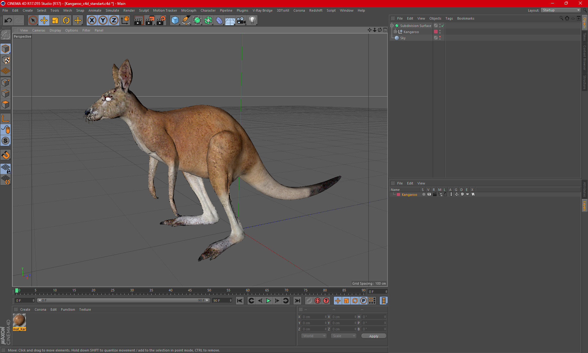 3D model Kangaroo