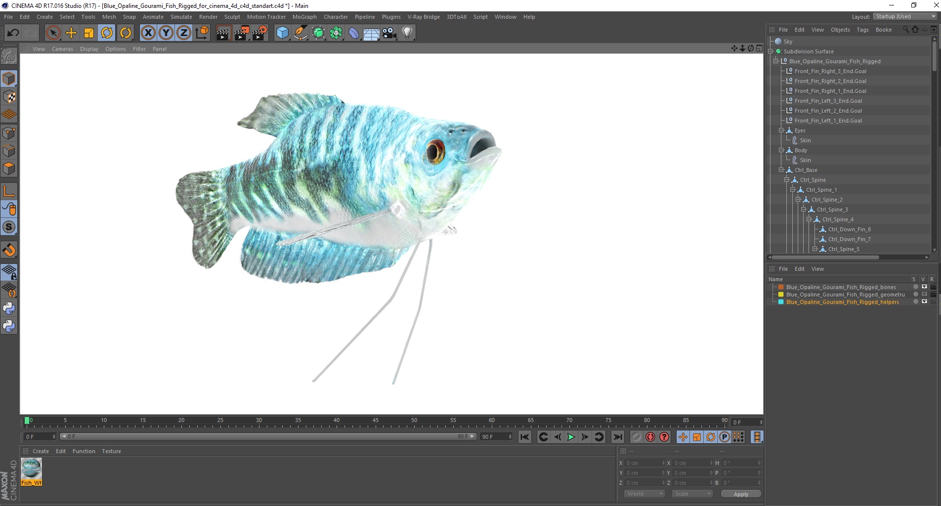 3D Blue Opaline Gourami Fish Rigged for Cinema 4D