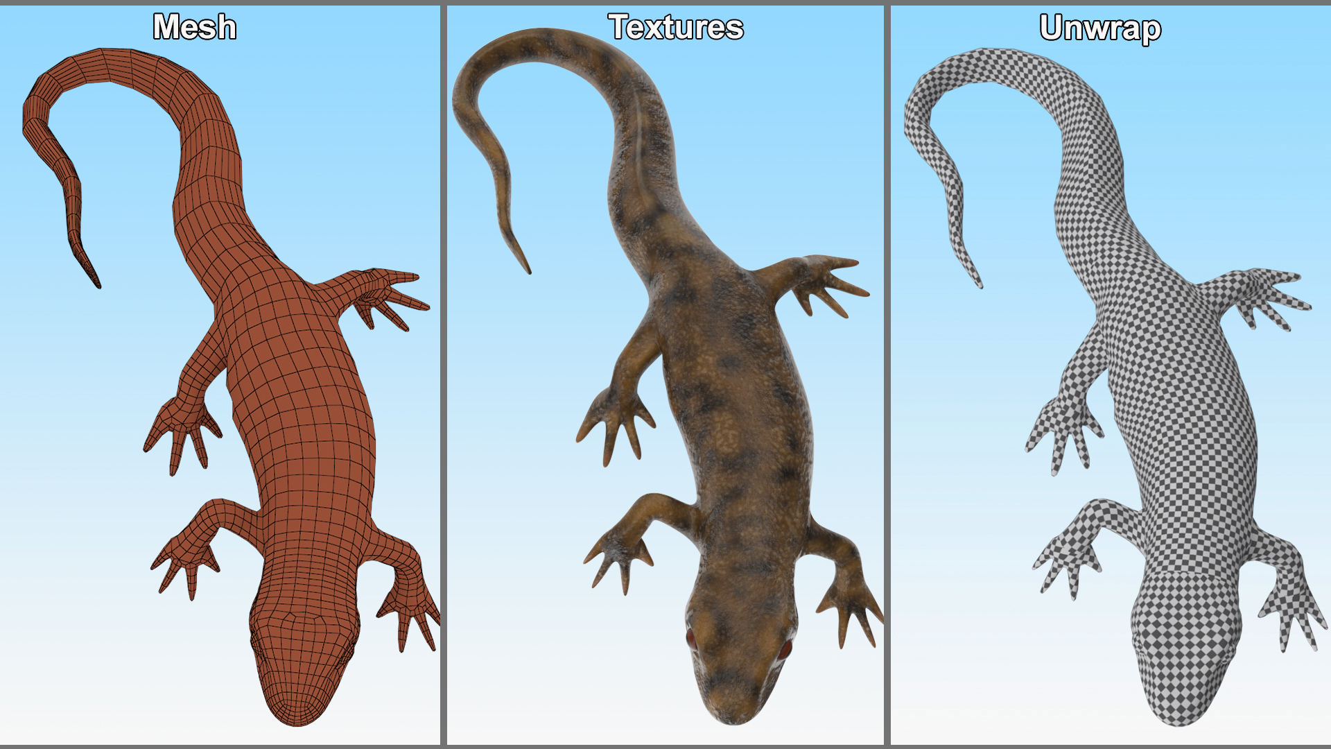 3D Spanish Ribbed Newt Crawling Pose model