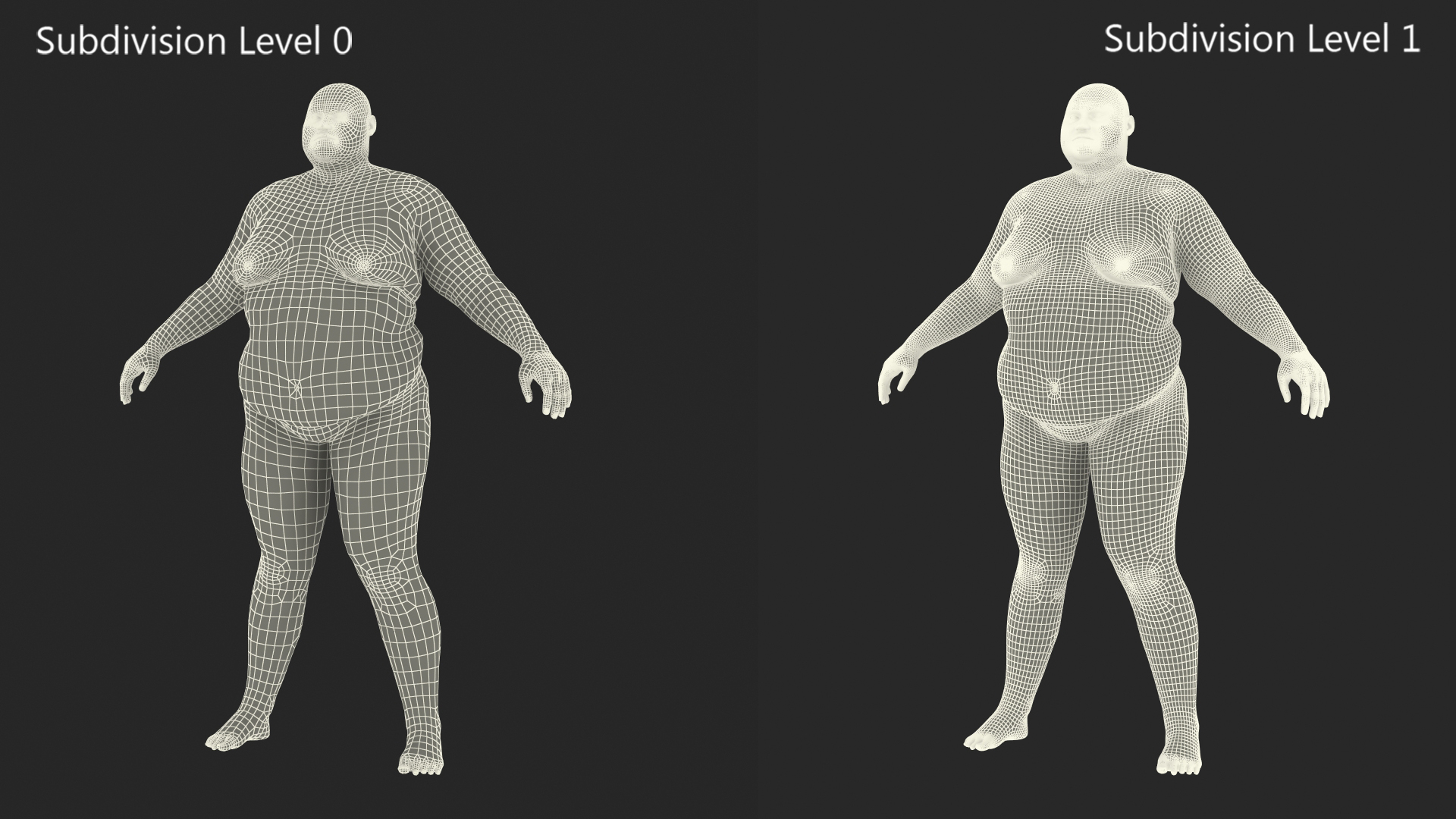 Naked Fat Man Fur Rigged 3D model