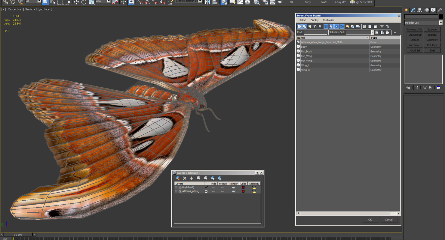 3D Attacus Atlas Large Saturniid Moth with Fur model