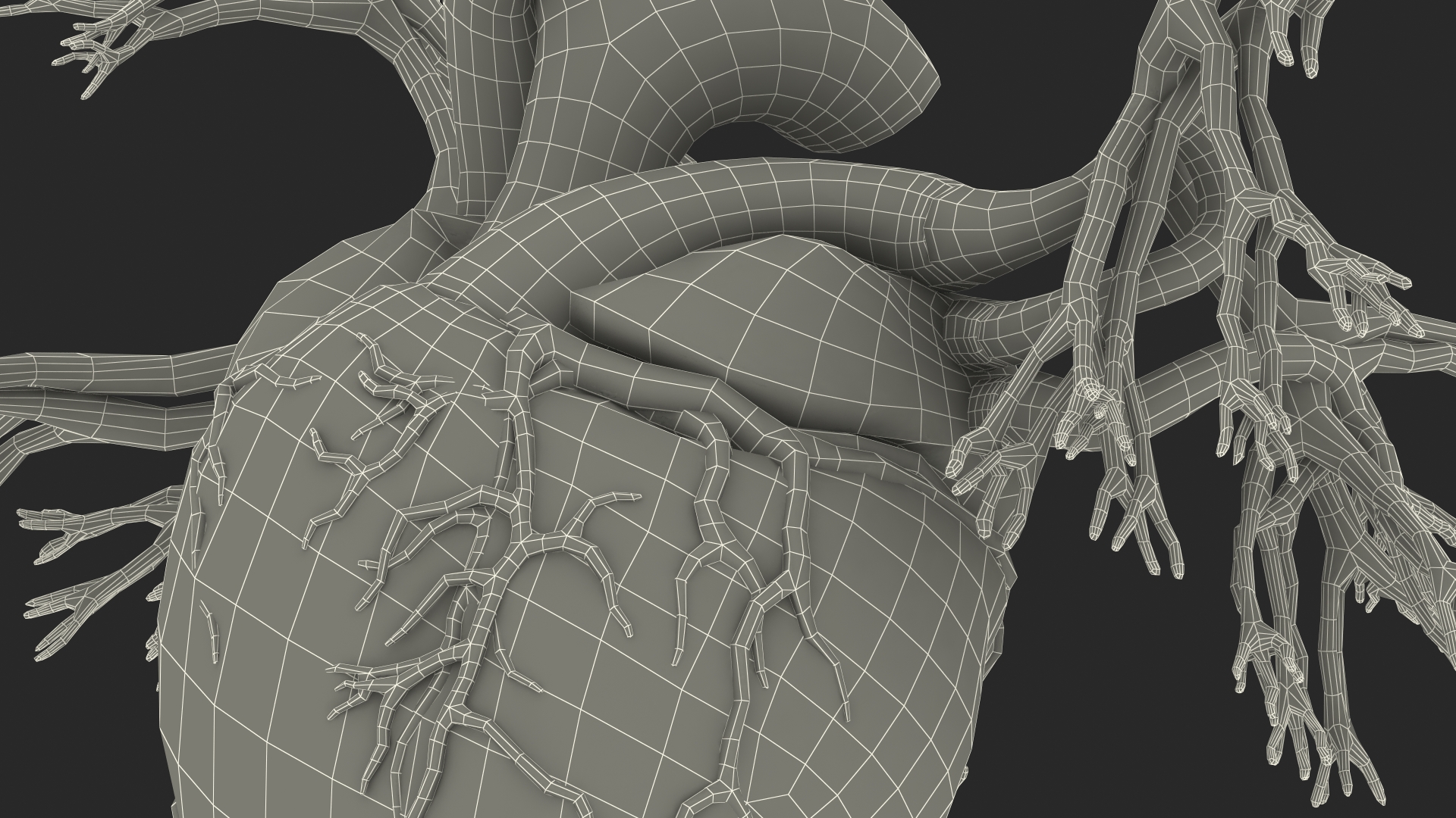 Female Heart 3D