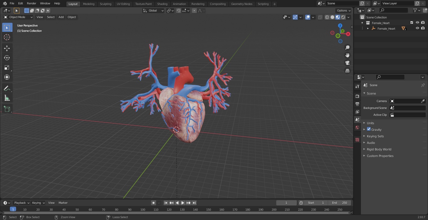 Female Heart 3D