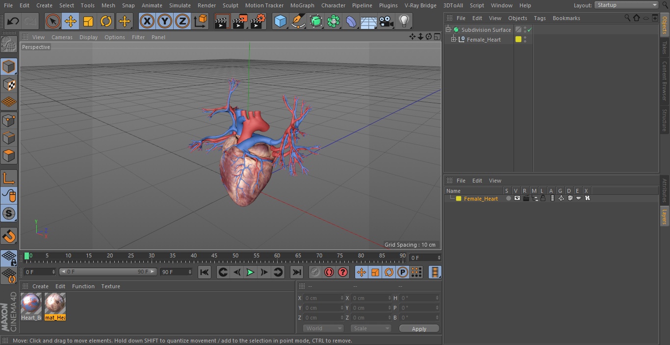 Female Heart 3D