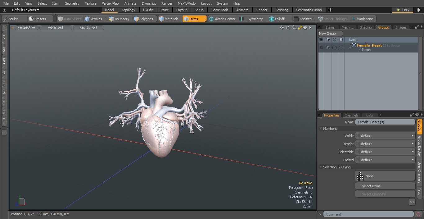 Female Heart 3D