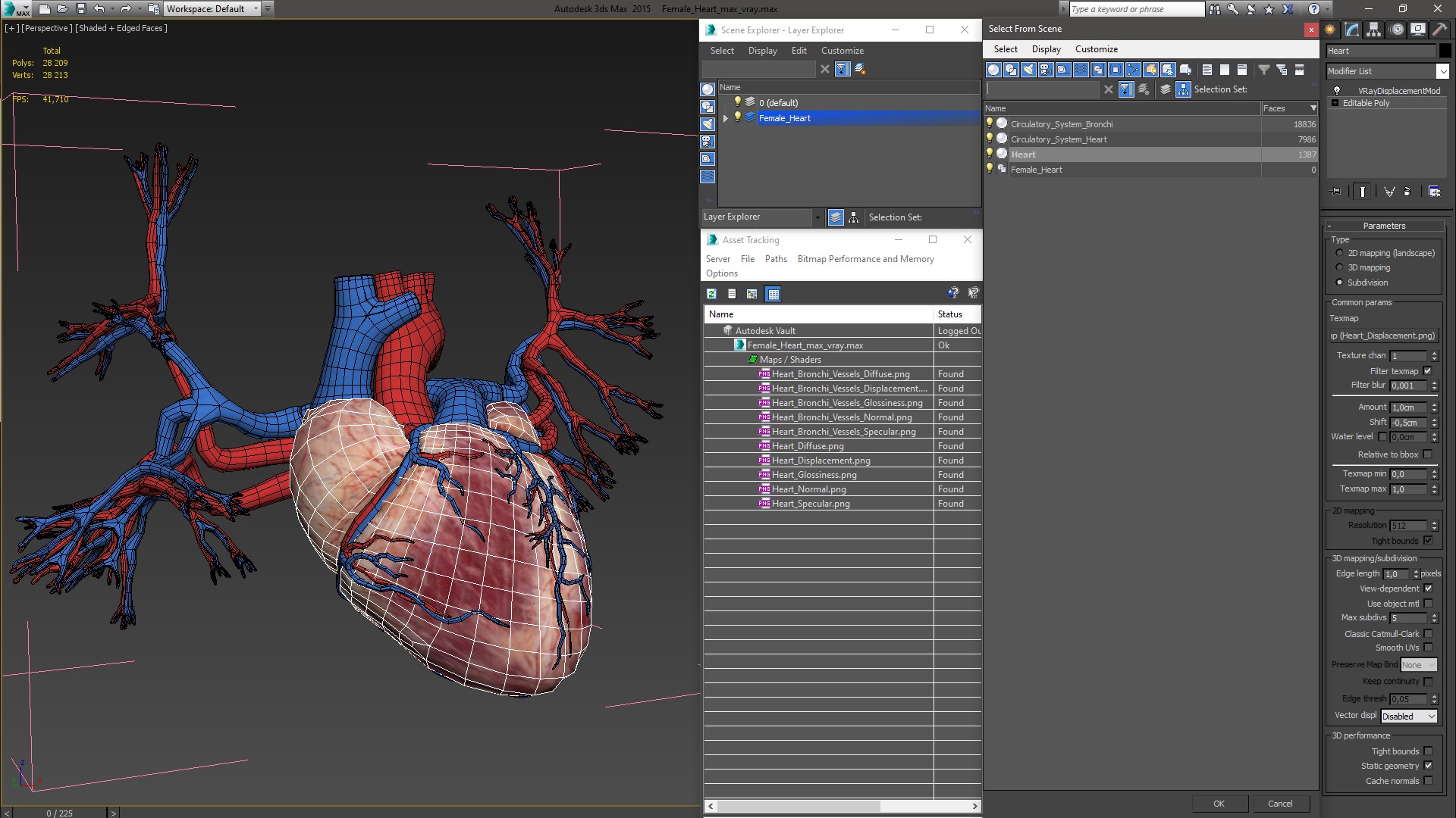 Female Heart 3D