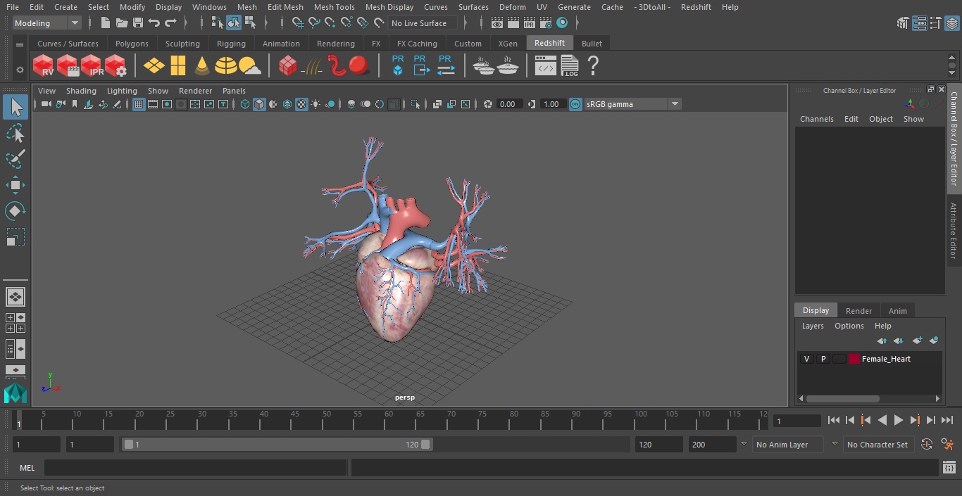 Female Heart 3D