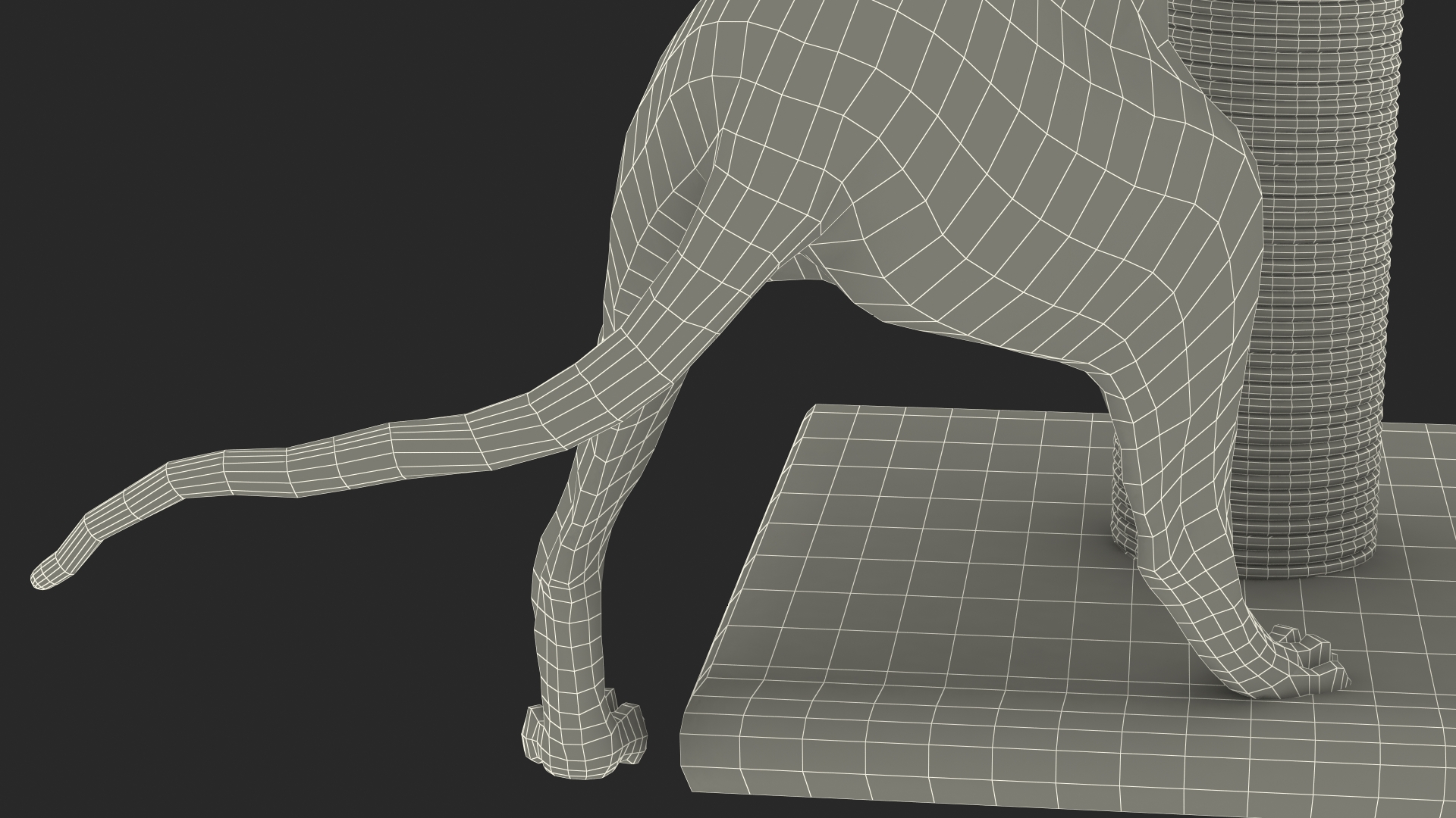 3D model Cat Playing With A Red Scratching Post Rigged