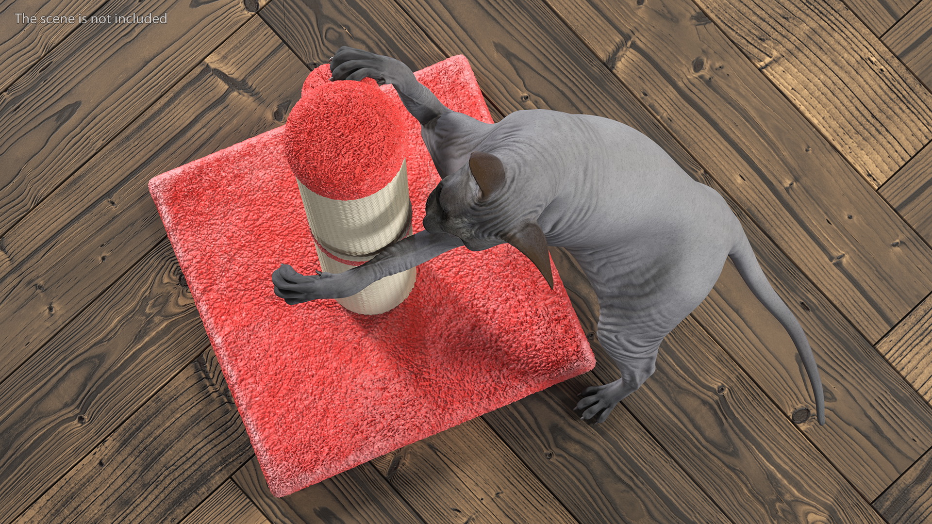 3D model Cat Playing With A Red Scratching Post Rigged