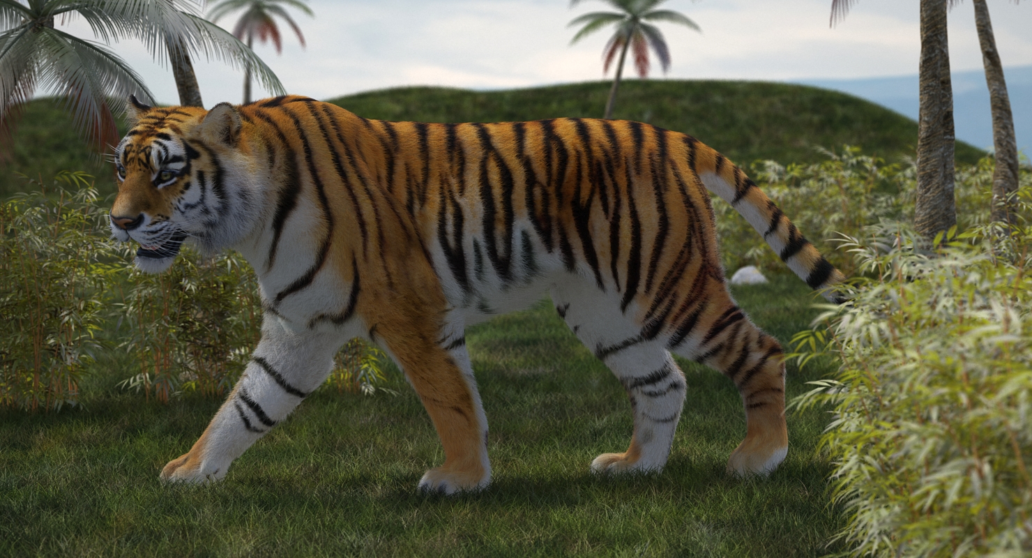 3D Tiger Rigged with Fur