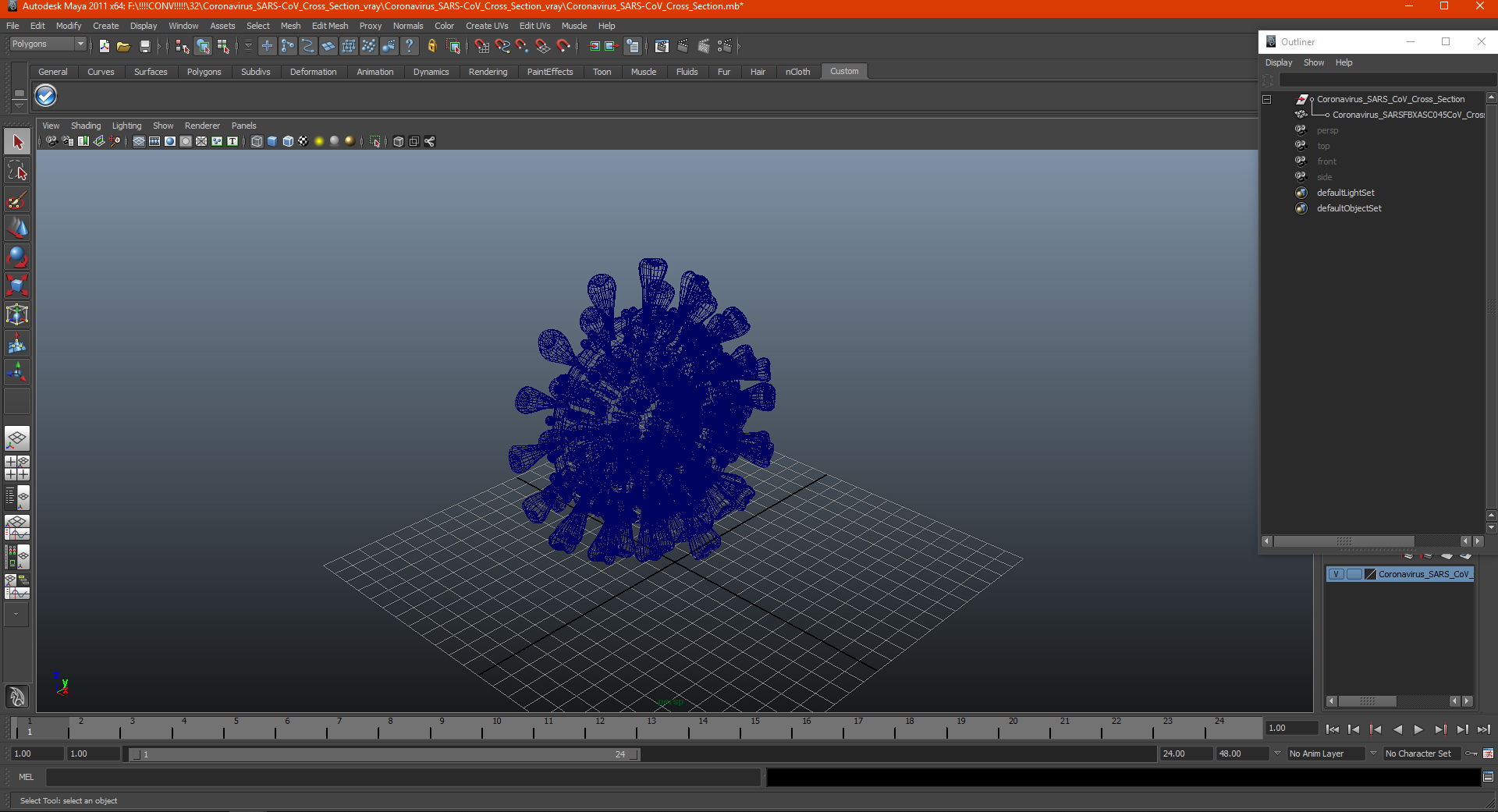 Coronavirus SARS-CoV Cross Section 3D model